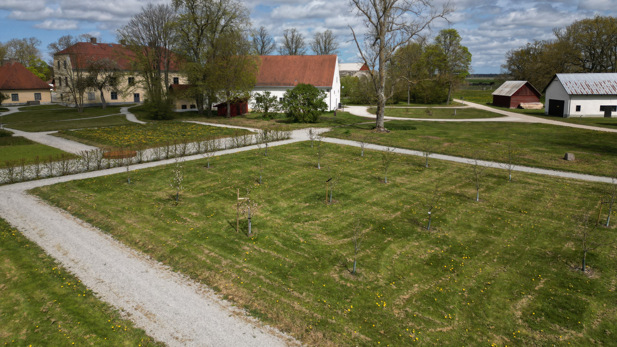 Parken vid Roma kungsgård. I förgrunden en äppelodling med unga träd. I bakgrunden syns kungsgårdens bebyggelse.