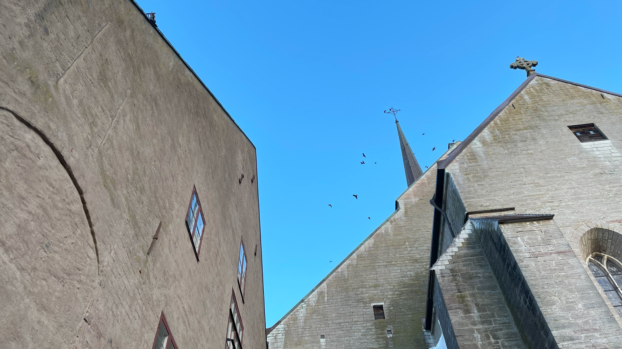 Vadstena kloster. Kyrkan och nunneklostrets västra länga står tätt intill varandra. Båda av grå sten. Kråkor cirklar kring kyrktornet.