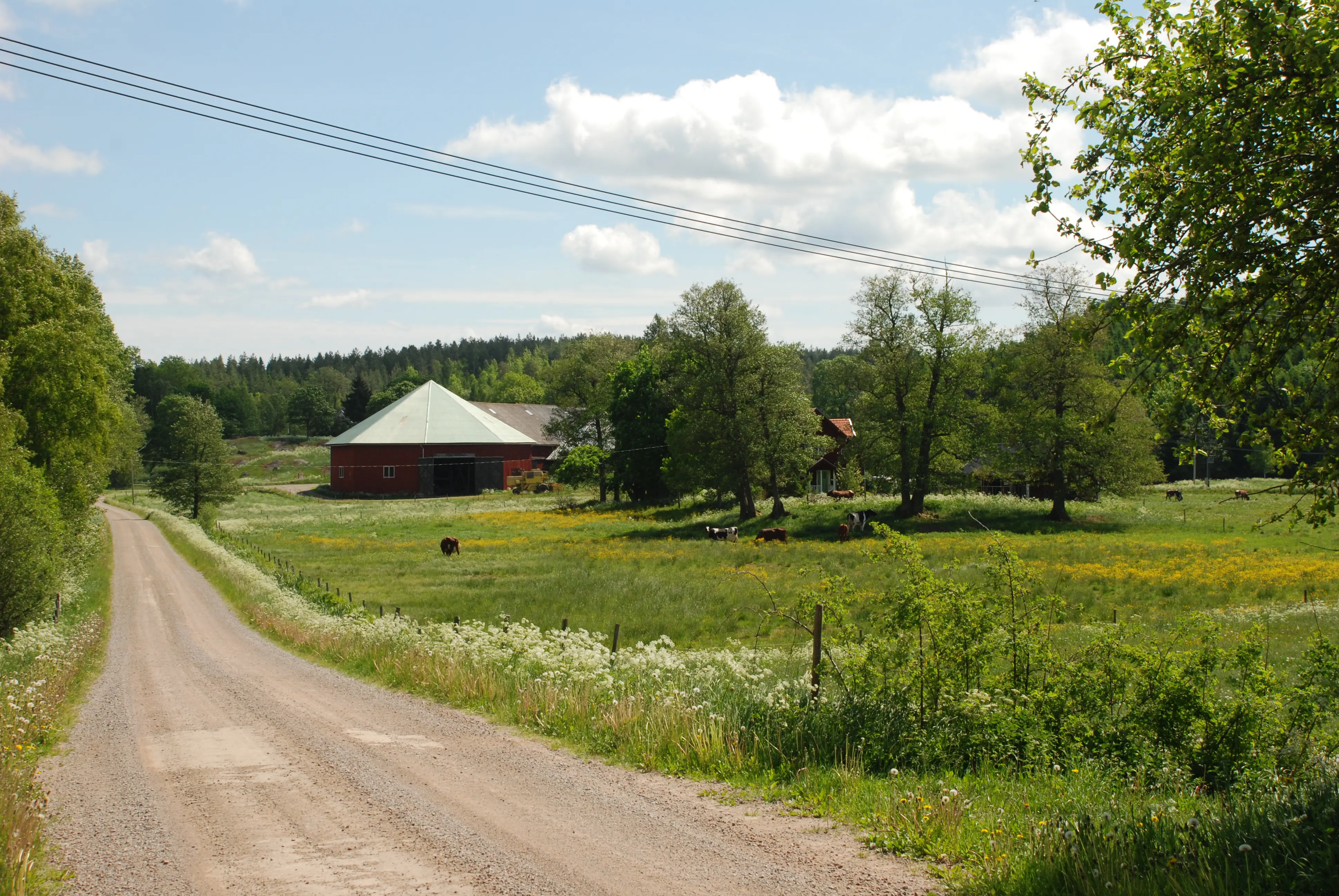 Grus-väg som leder förbi Herrsätter. Byggnaderna skyms delvis av grönskande träd. Ladugårdens runda loge syns väl.