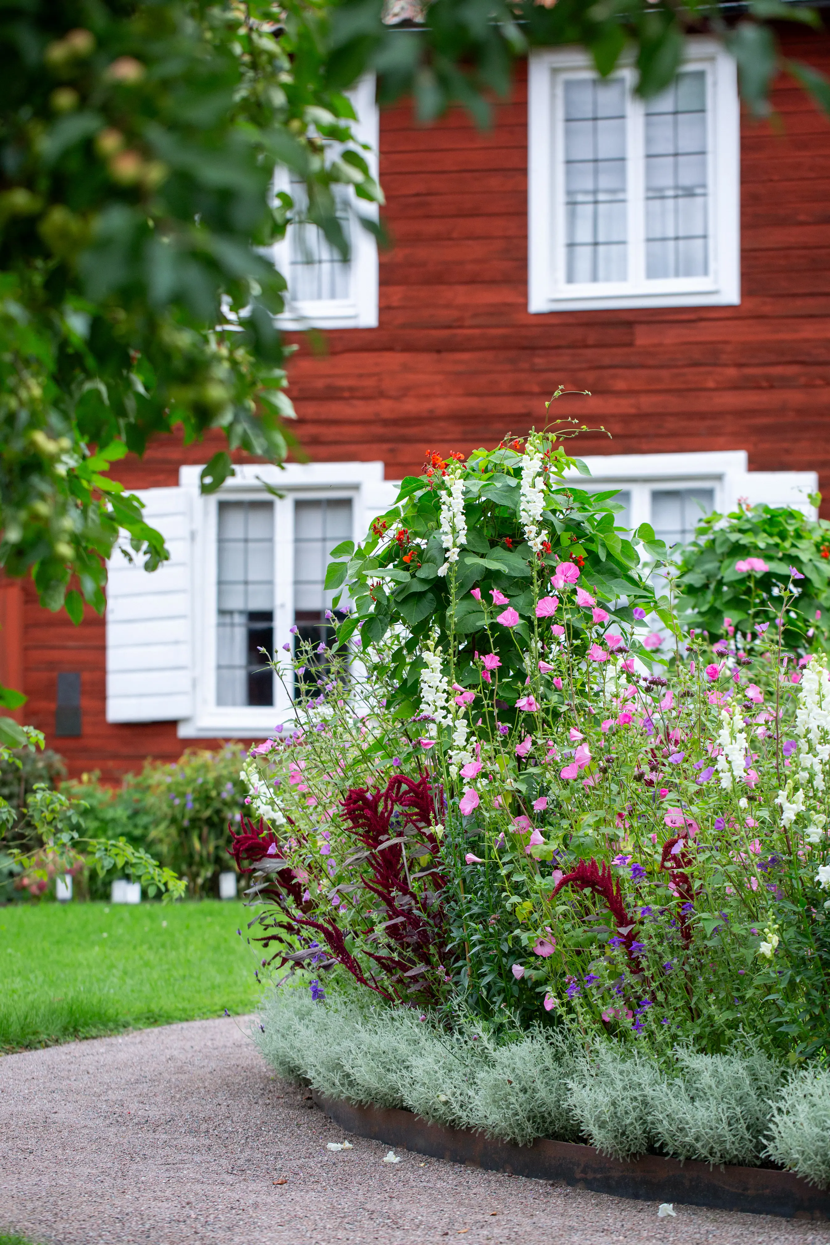 Rött hus bakom blomstrande rabatt.