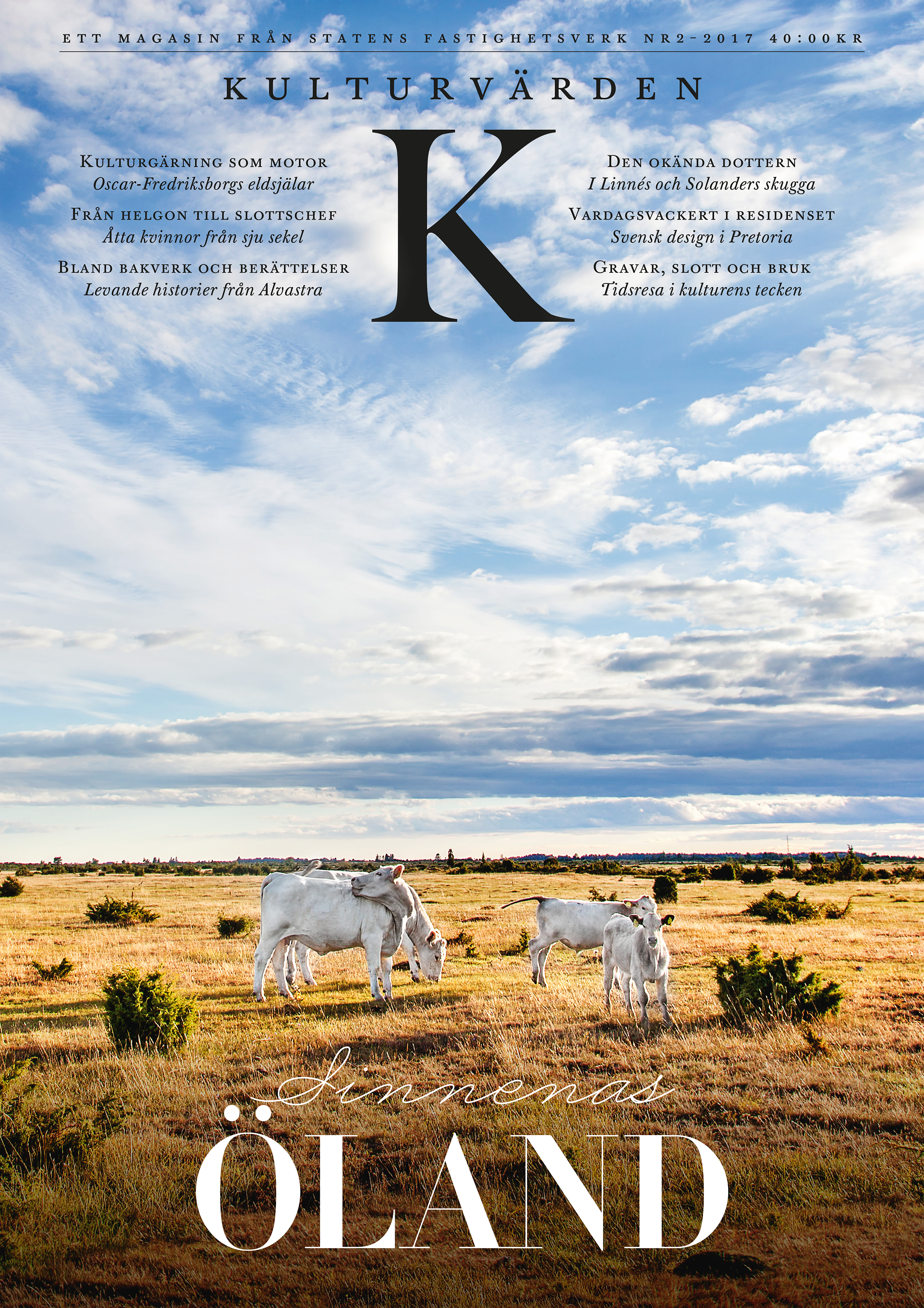 Betande kor på Alvaret, Öland