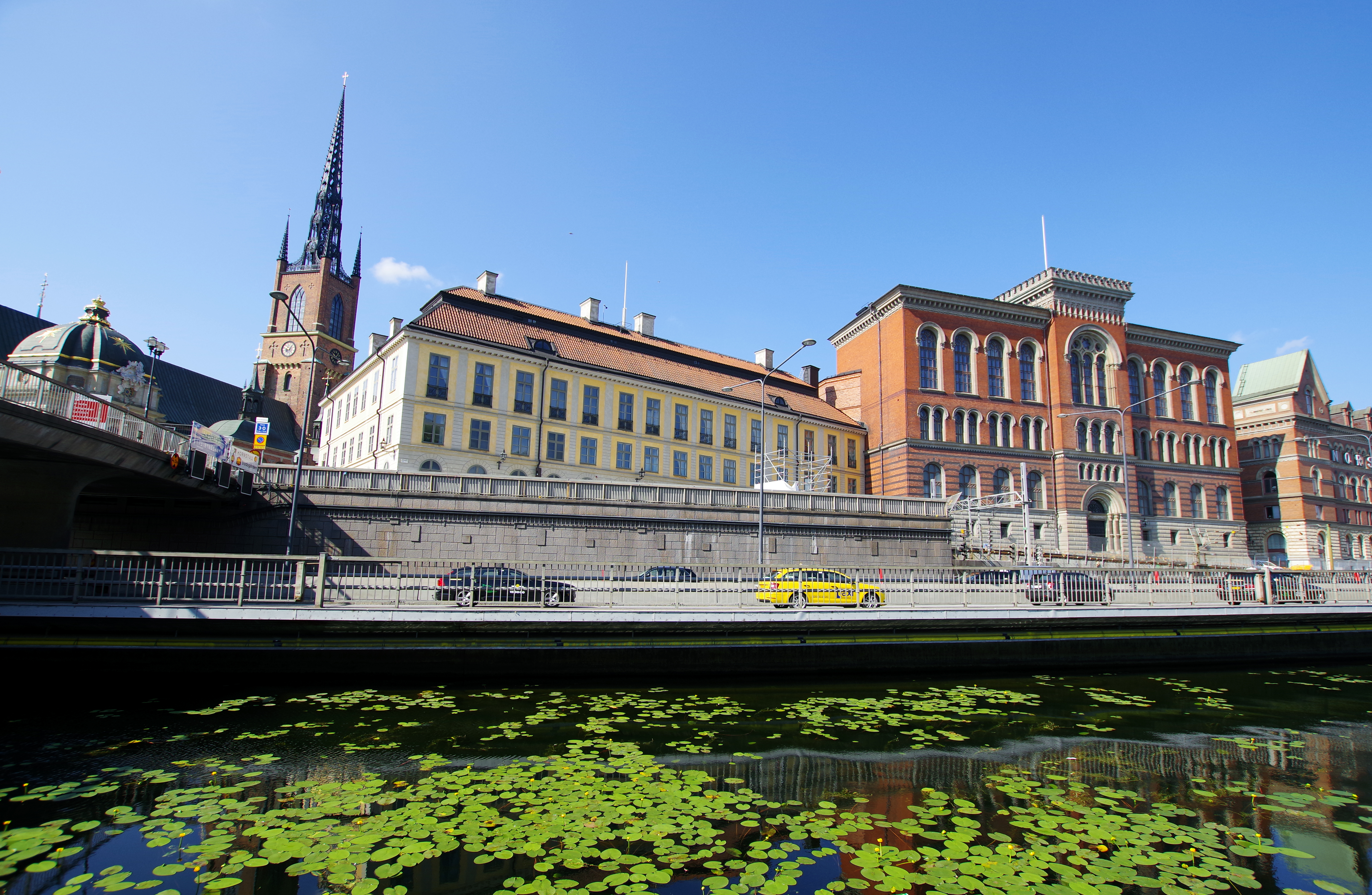 Kanalen mellan Riddarholmen och Gamla stan är full av blommande, gula näckrosor.