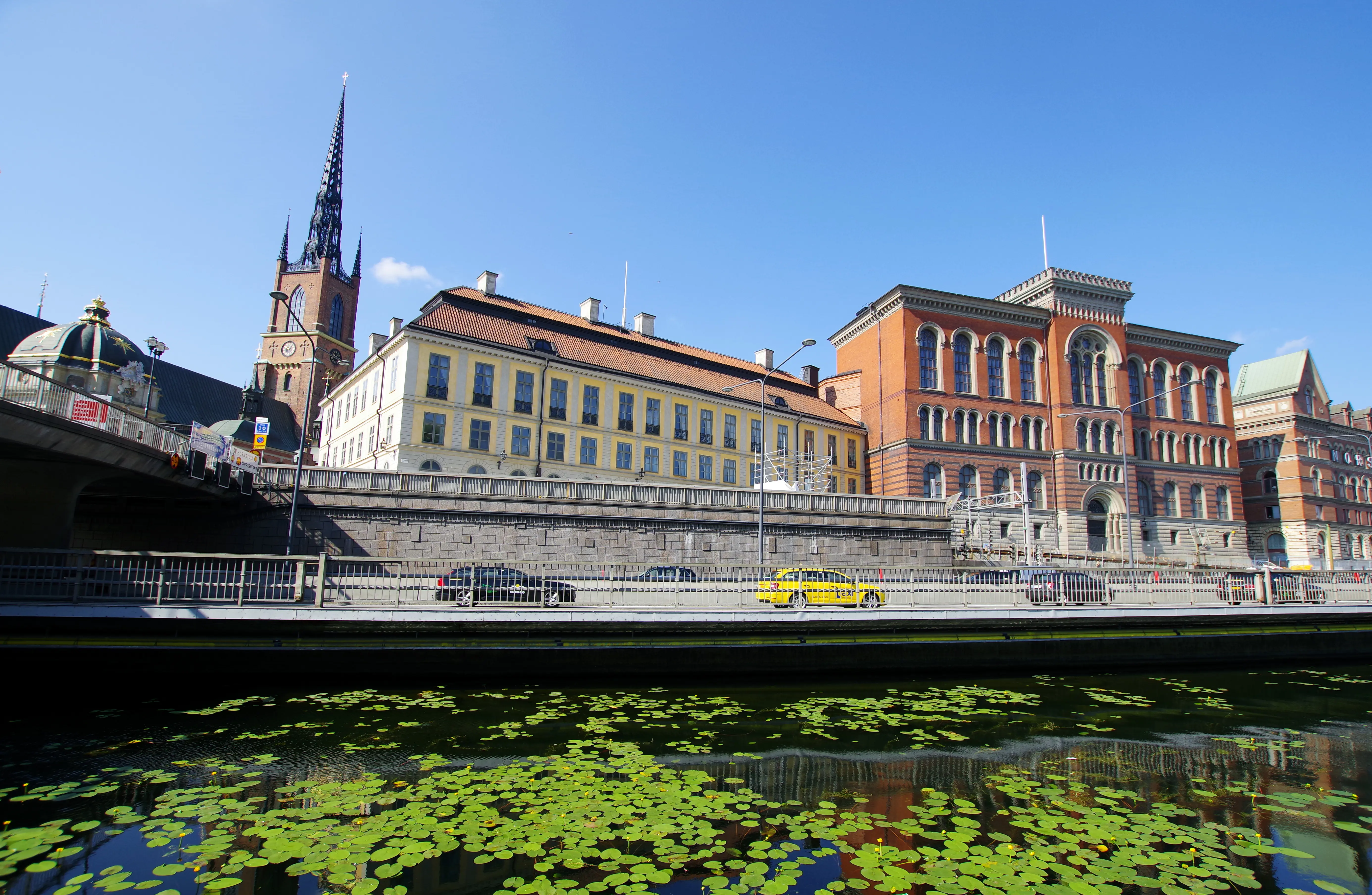 Kanalen mellan Riddarholmen och Gamla stan är full av blommande, gula näckrosor.