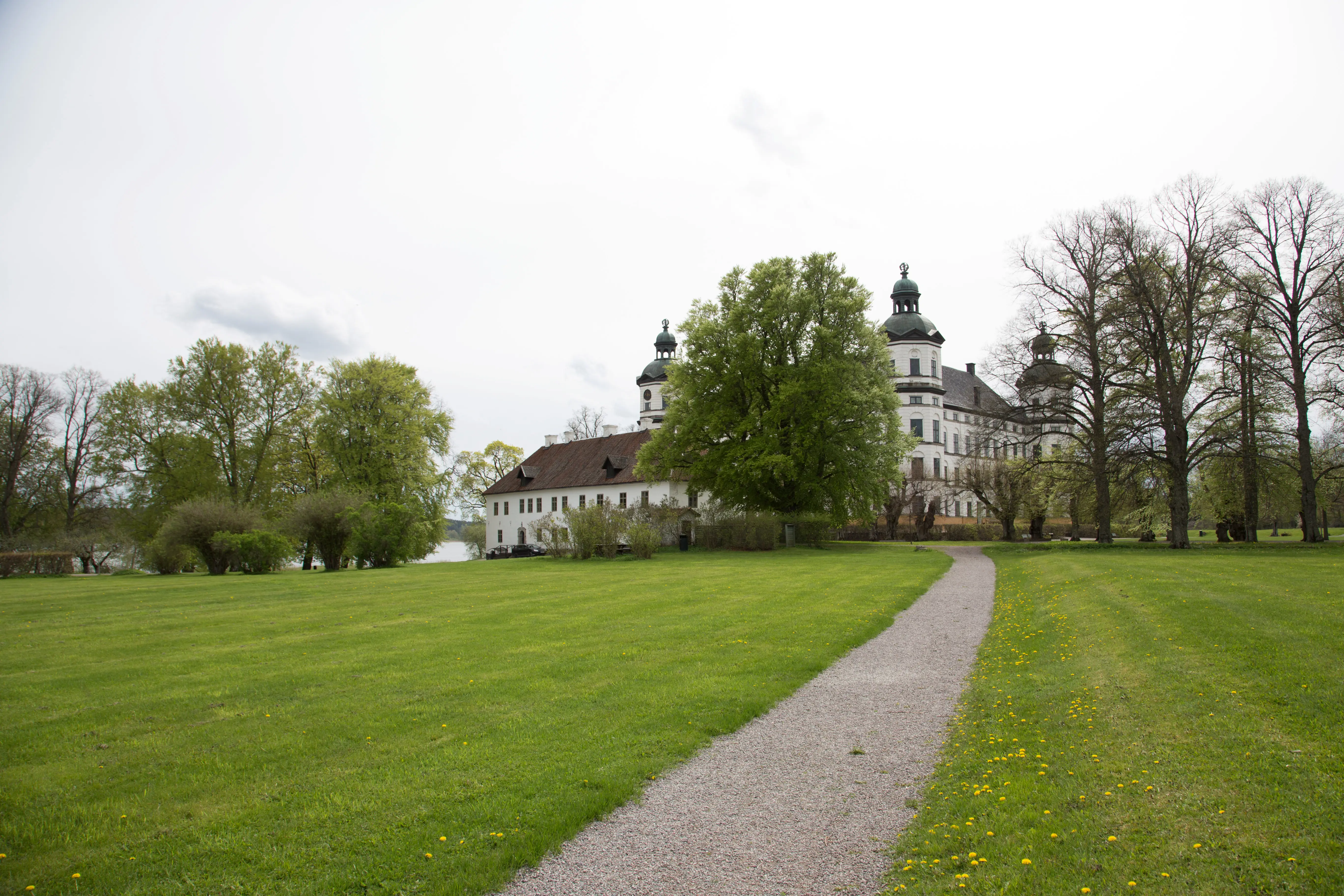 Skoklosters slottspark. En gångväg leder över en stor gräsyta fram till slottet och Stenhuset som är delvis dolda av träd. Vår och grönska.