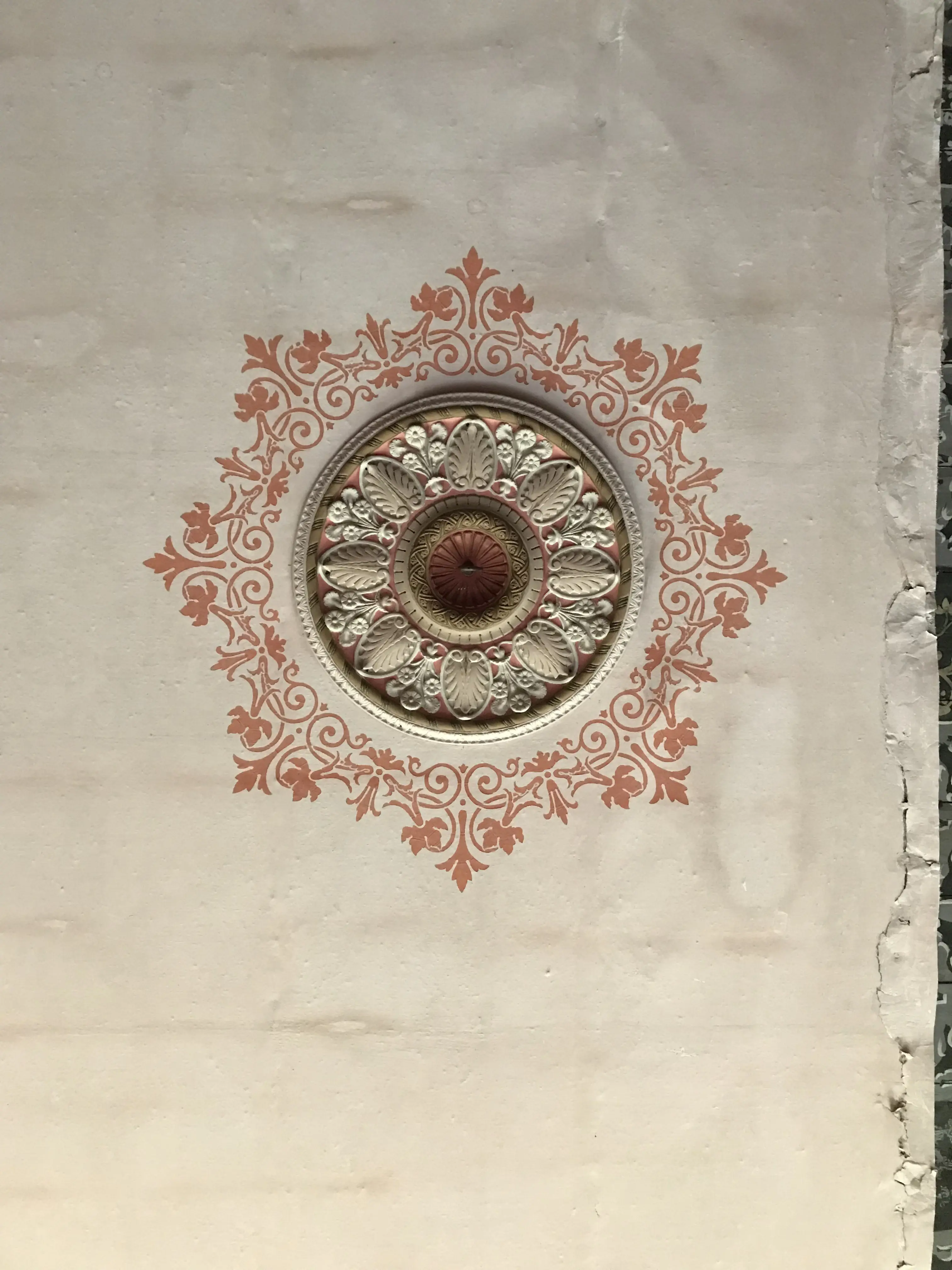 Interiör, Bogesunds slott. Målad tak-rosett med flätmönster, blommor och blad, omgiven av målad växt-ornamentik.