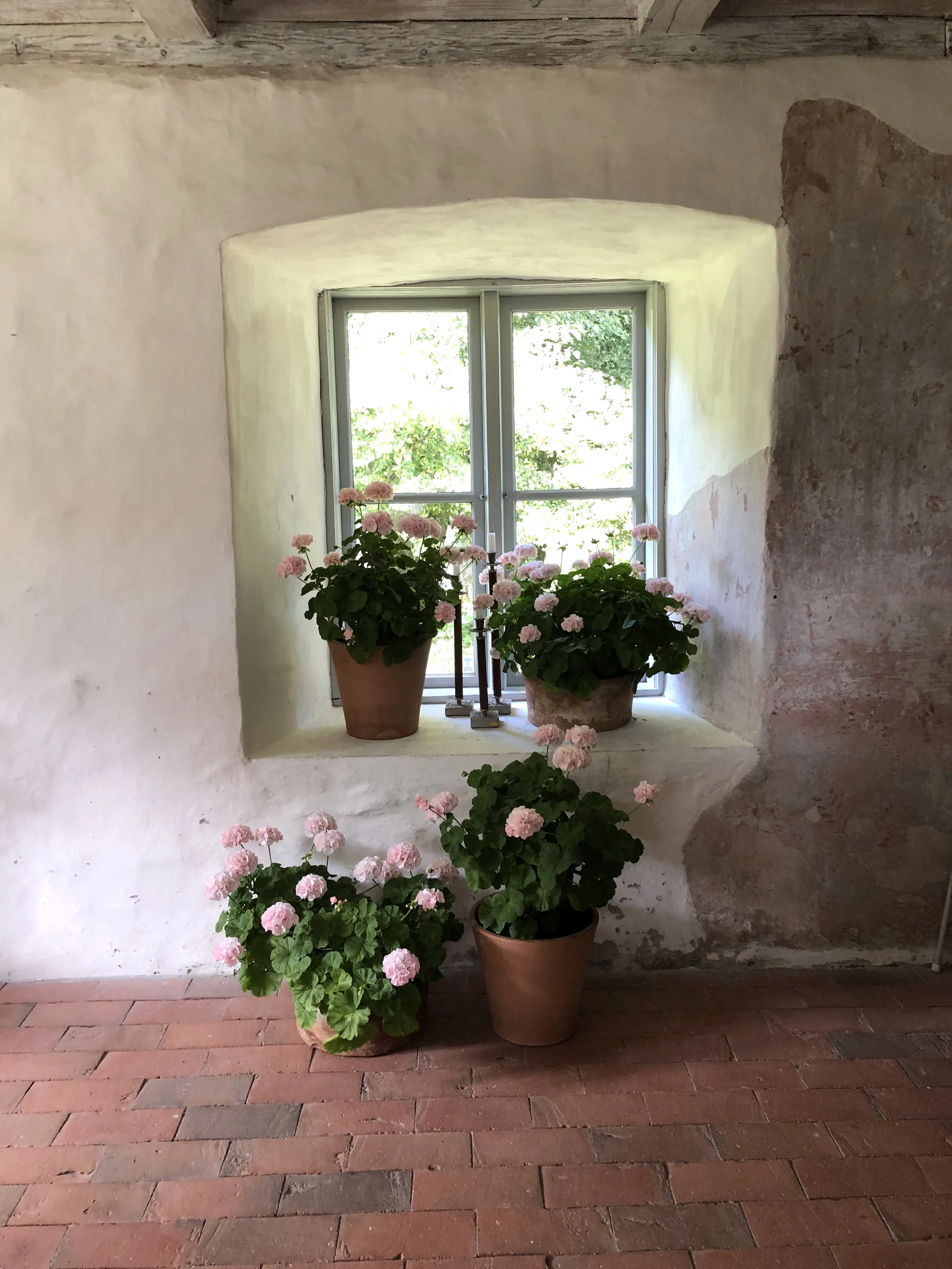 Sommarinteriör från Hovdalas orangeri.