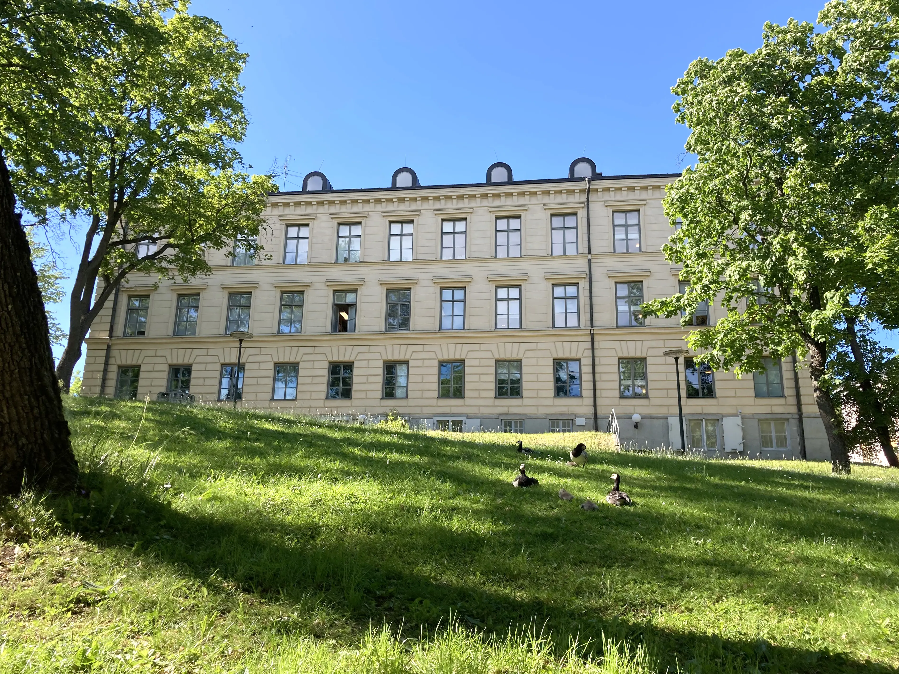 Sjökarteverket på Skeppsholmen. Klassicistisk trevåningsbyggnad med många fönster. Några gäss vilar i gräset. Sommar och grönska.
