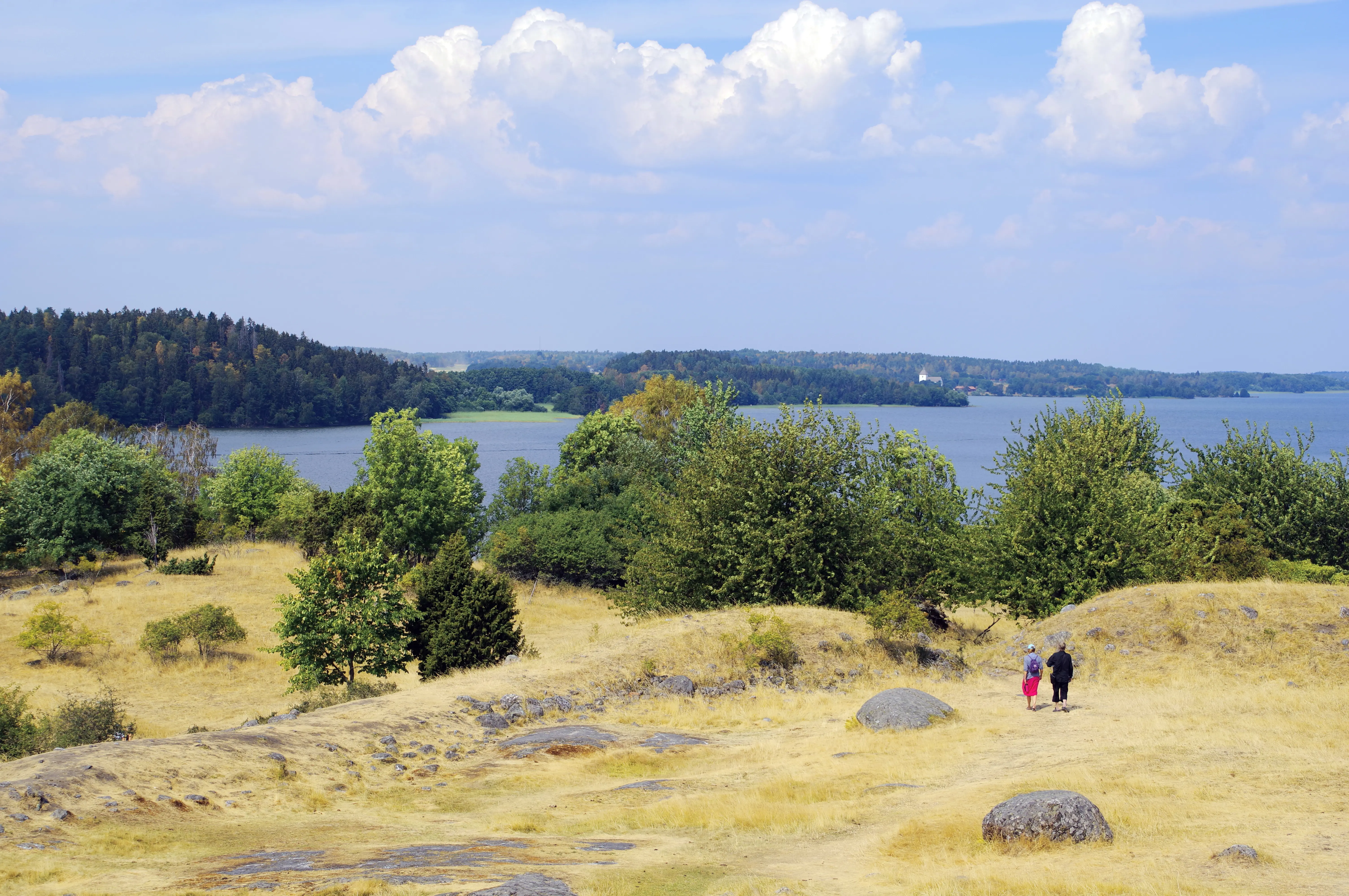 Birka. Utsikt från resterna av den vikingatida skyddsvallen mot Adelsö. Två personer tittar ut över vattnet. Sommar och grönska.