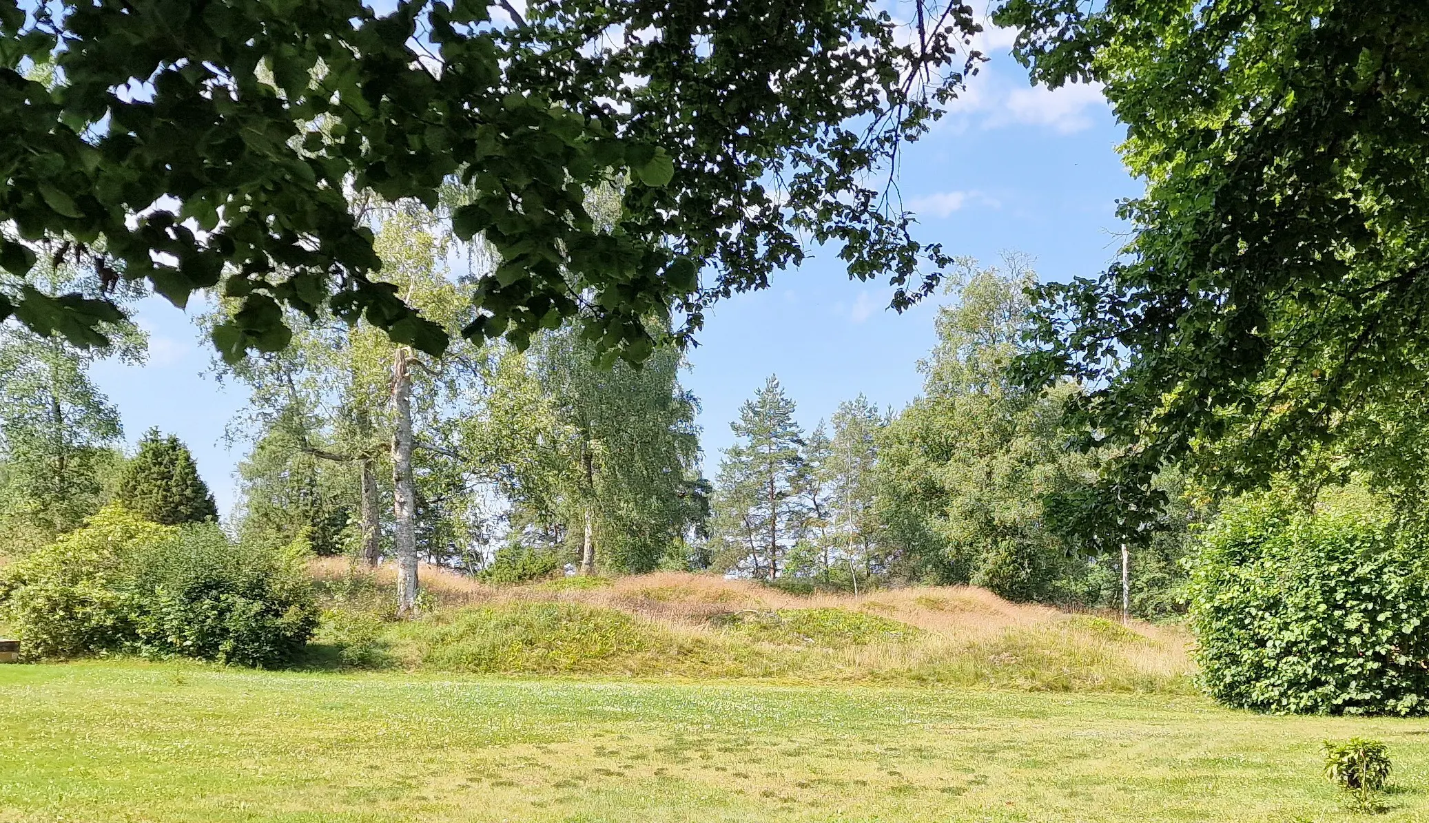 Hamneda. Mjuka gravkullar täckta med högt, röd-aktigt gräs. Lummiga träd växer runtomkring.