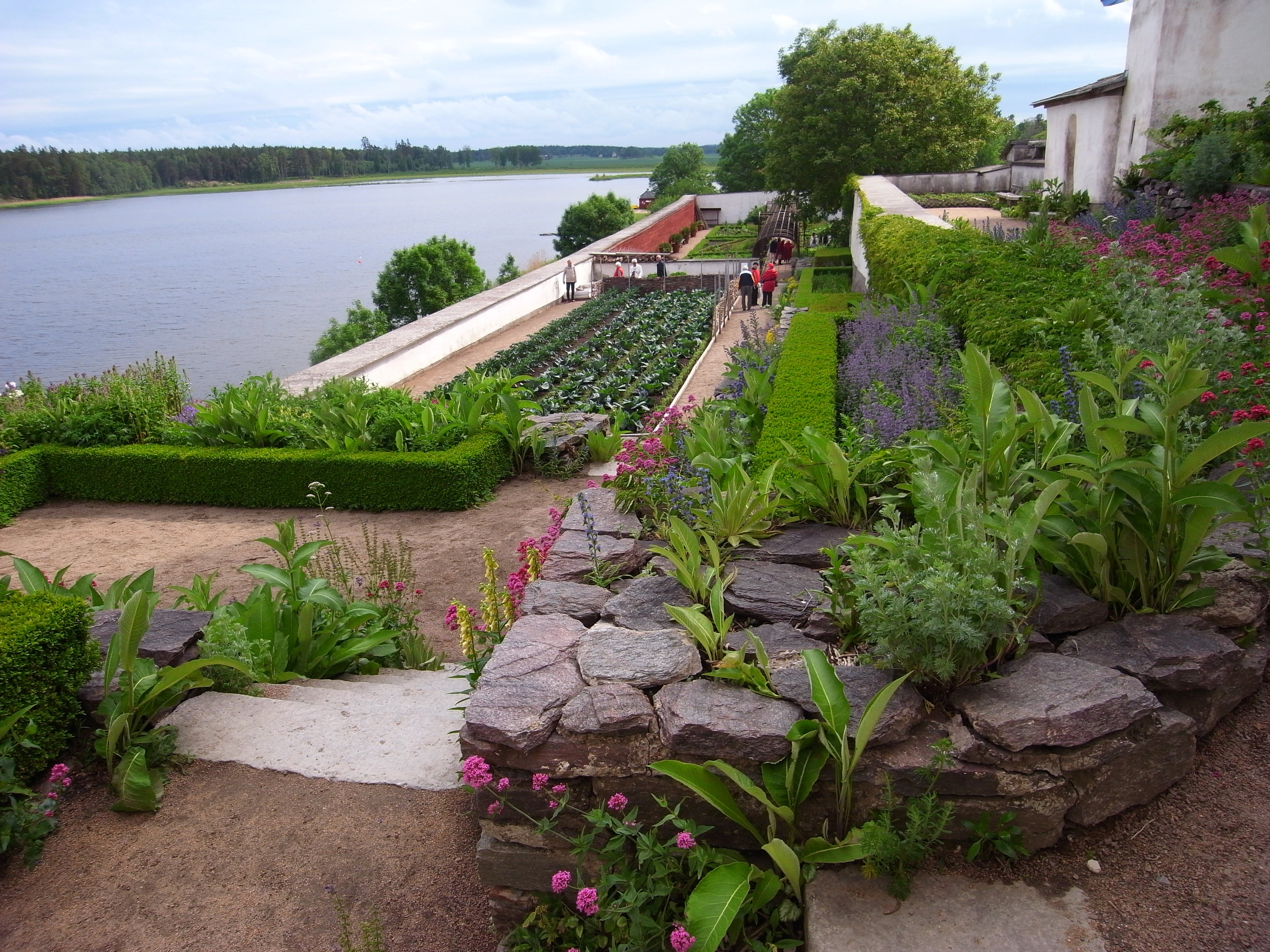 Läckö slotts-trädgård sett uppifrån slottet. Små stentrappor leder ner från stenpartier till köksträdgården.