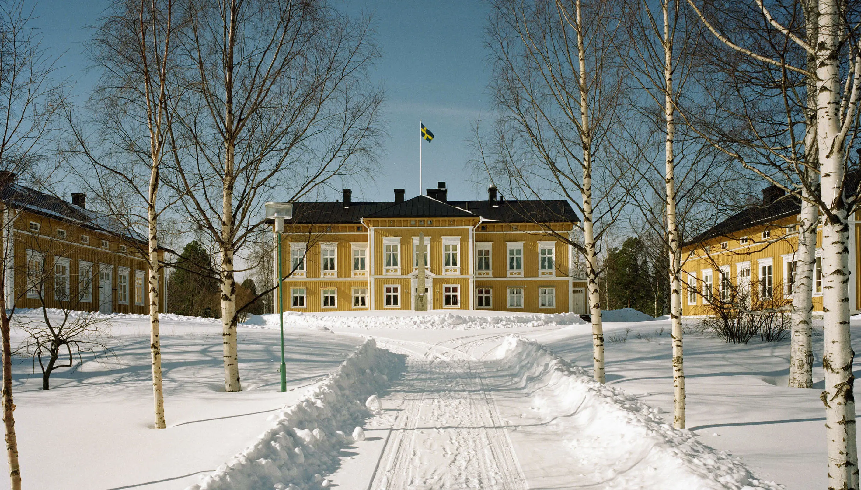 Björk-allén i Luleå residens park, och residensets gula träbyggnader. Vinter och snö.