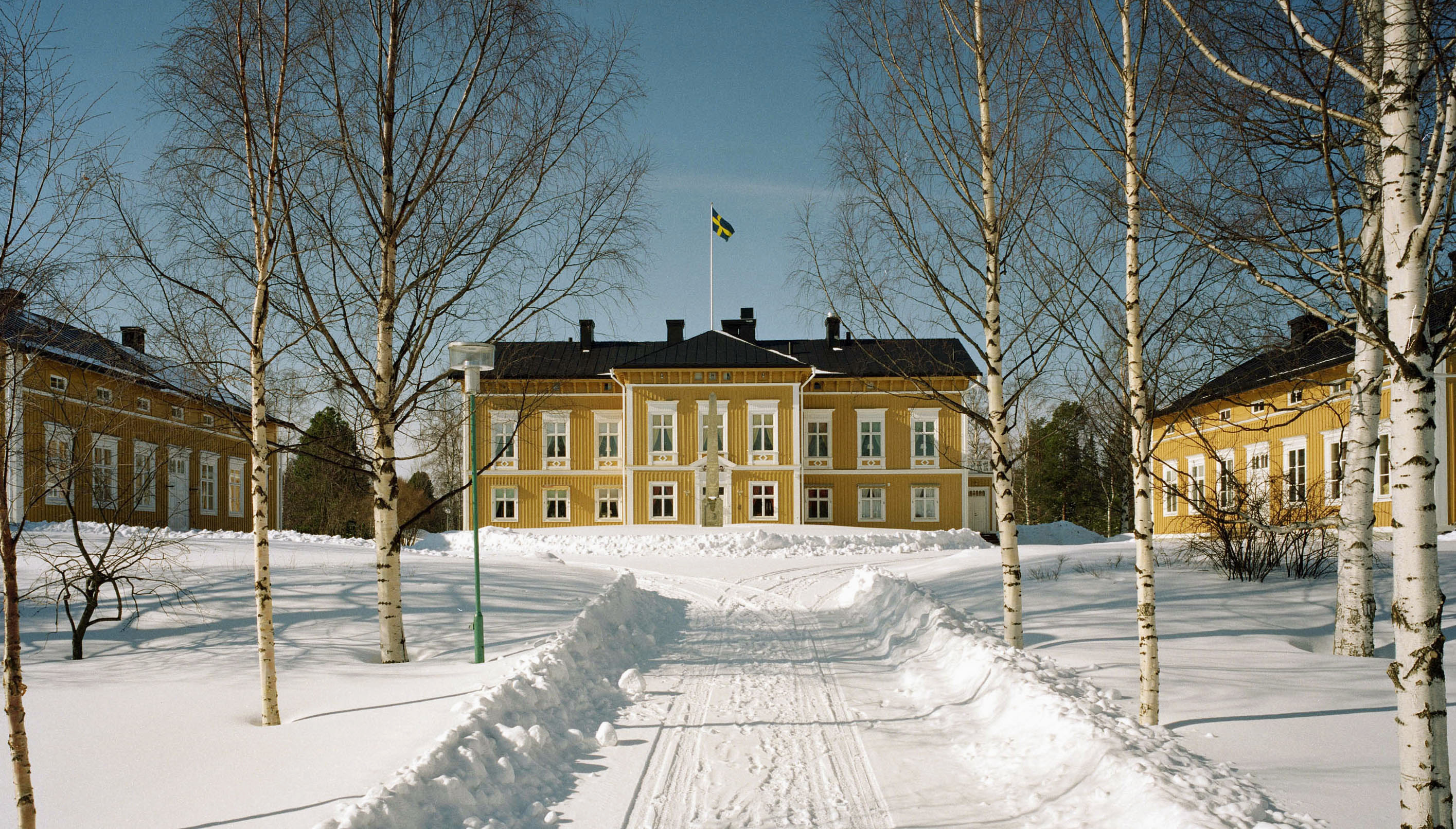 Björk-allén i Luleå residens park, och residensets gula träbyggnader. Vinter och snö.