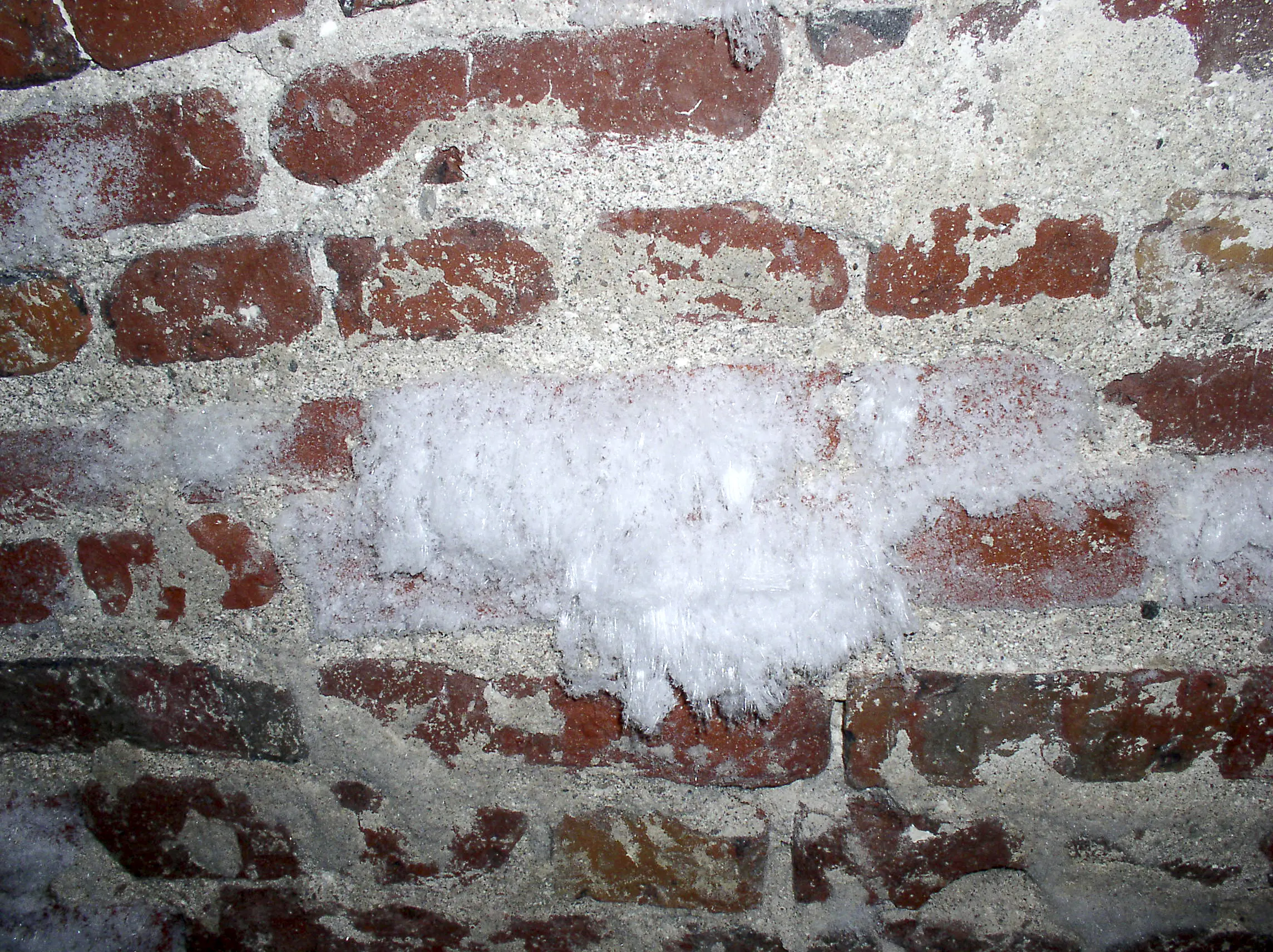 En röd tegelvägg med salt som har kristalliserat sig utanpå.