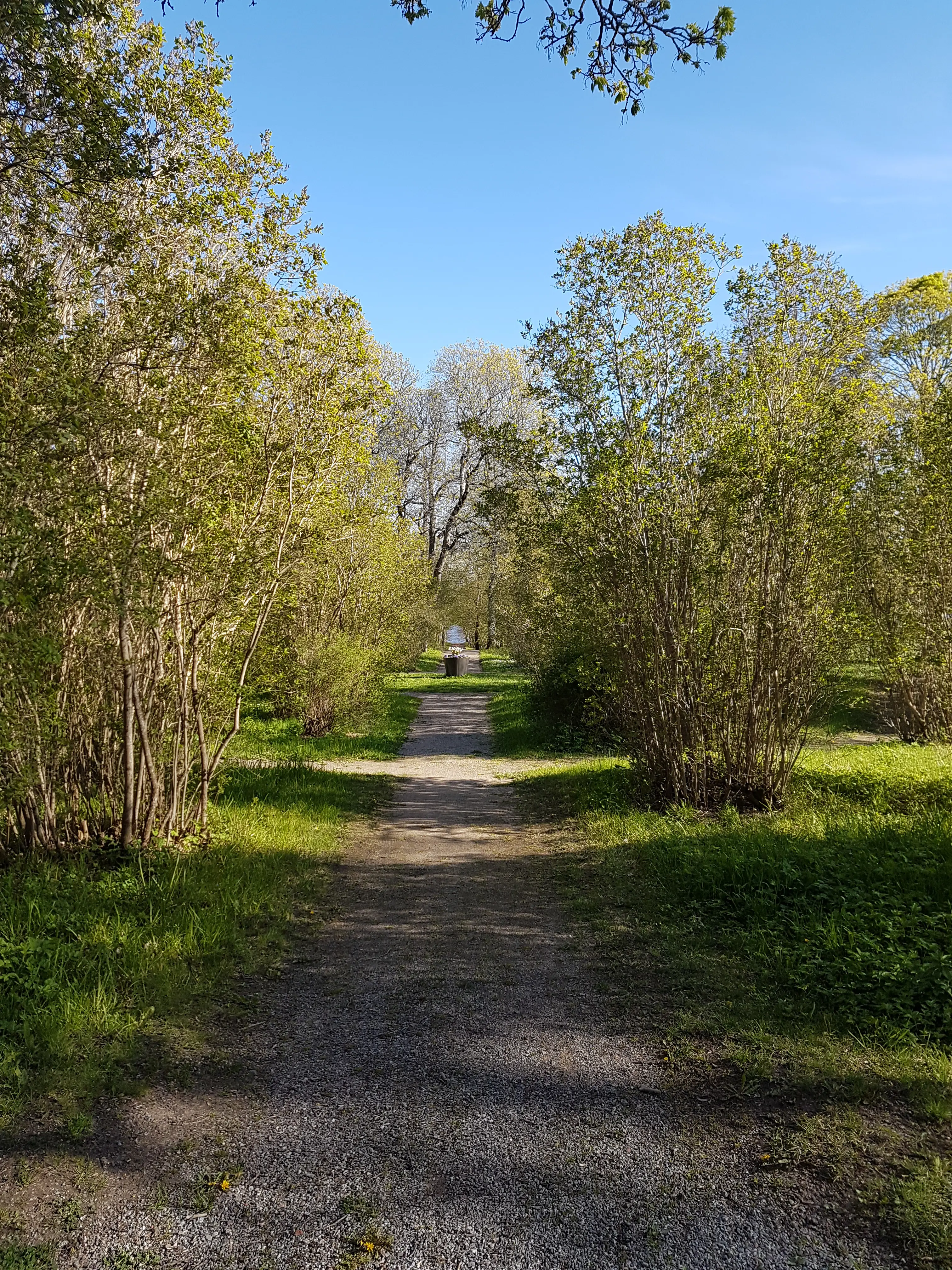 Gång ned mot vattnet i barockdelen av Rosersbergs slottsträdgård. Vår och grönska.