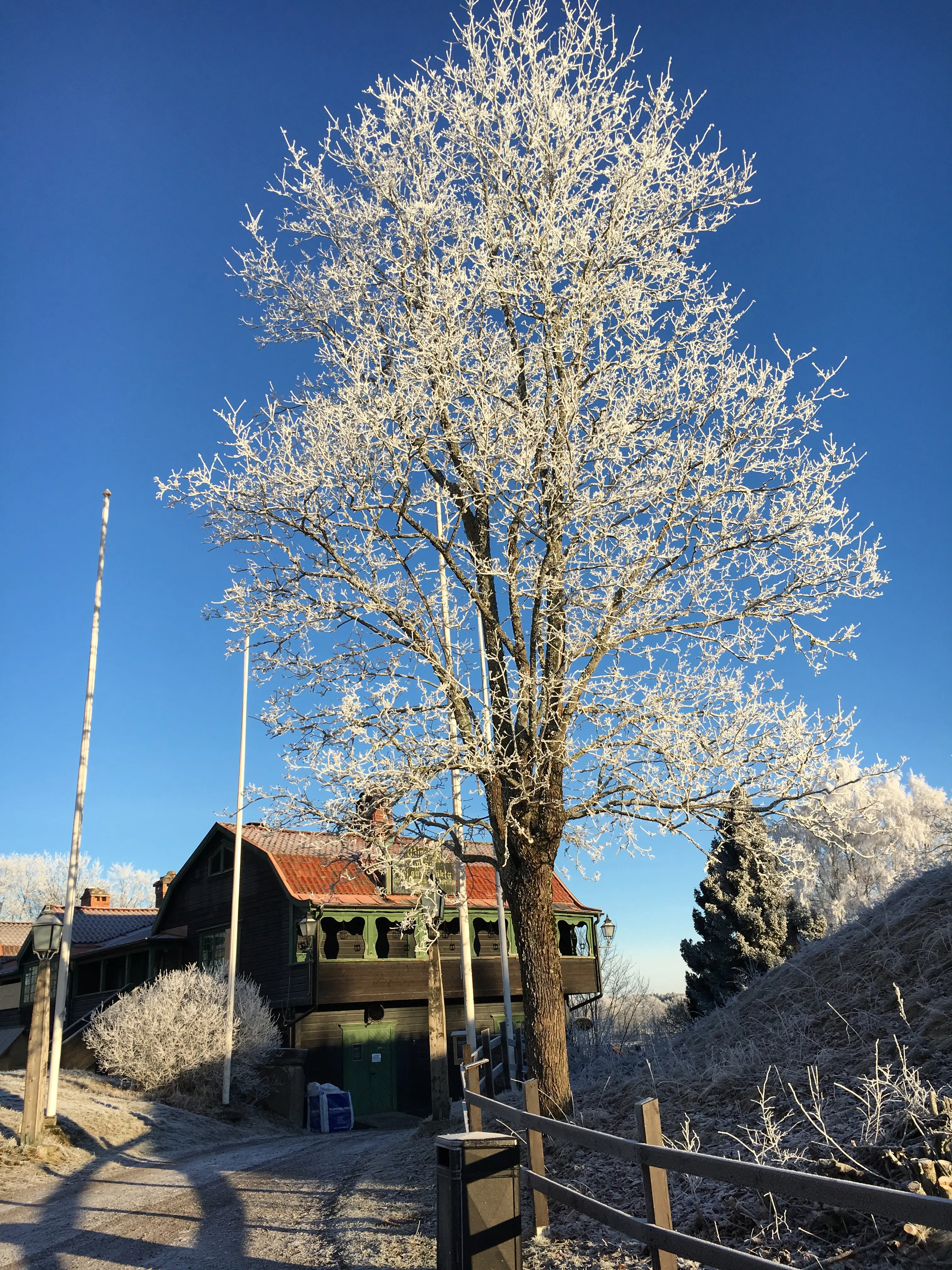 Odinsborg, restaurang intill Uppsala högar. Nationalromantisk byggnad med loftgång och brutet tak. Vinter och frost.