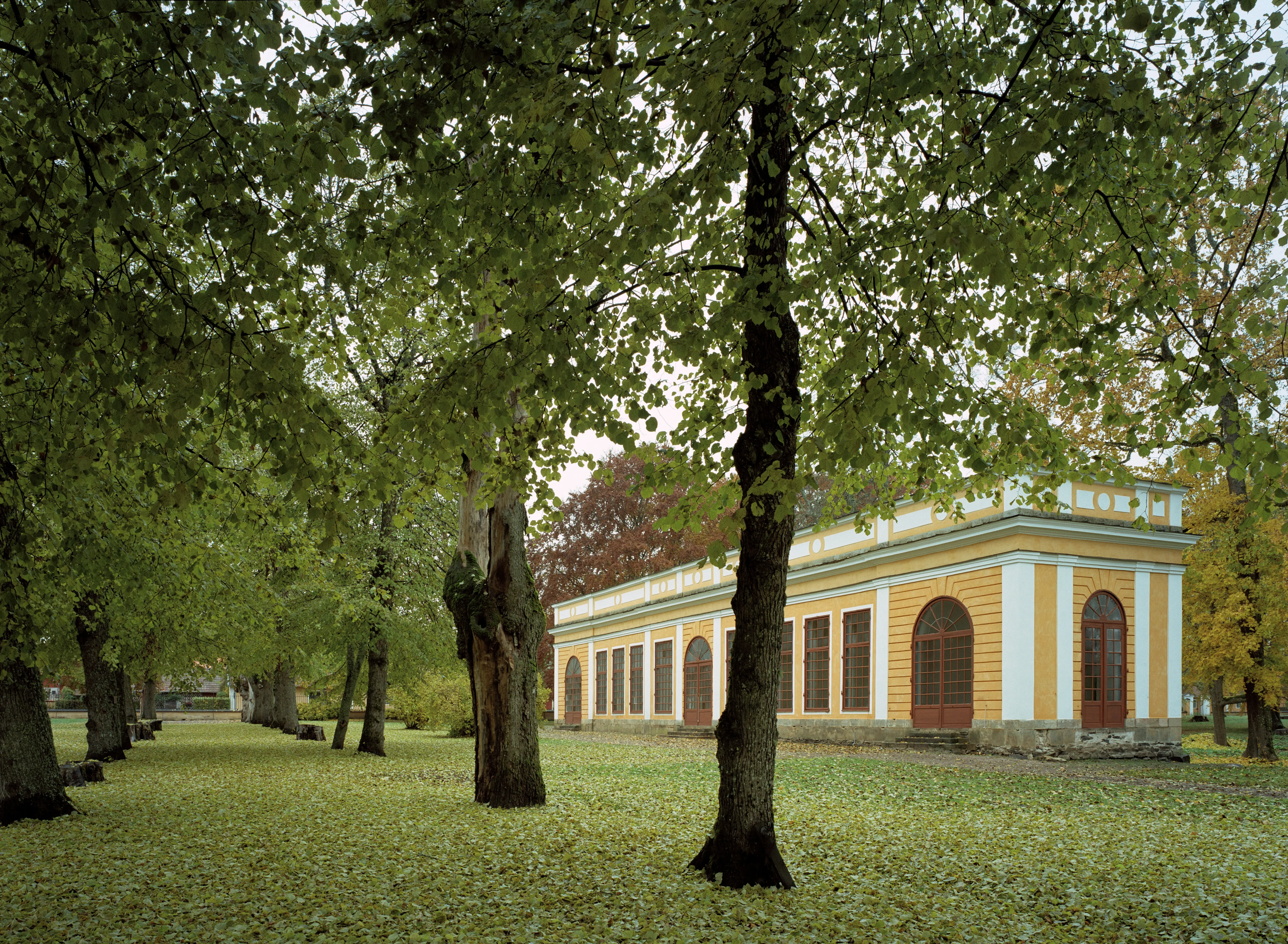 Parken vid Lövstabruk och norra orangeriet, en långsmal, gulputsad envåningsbyggnad. Tidig höst.