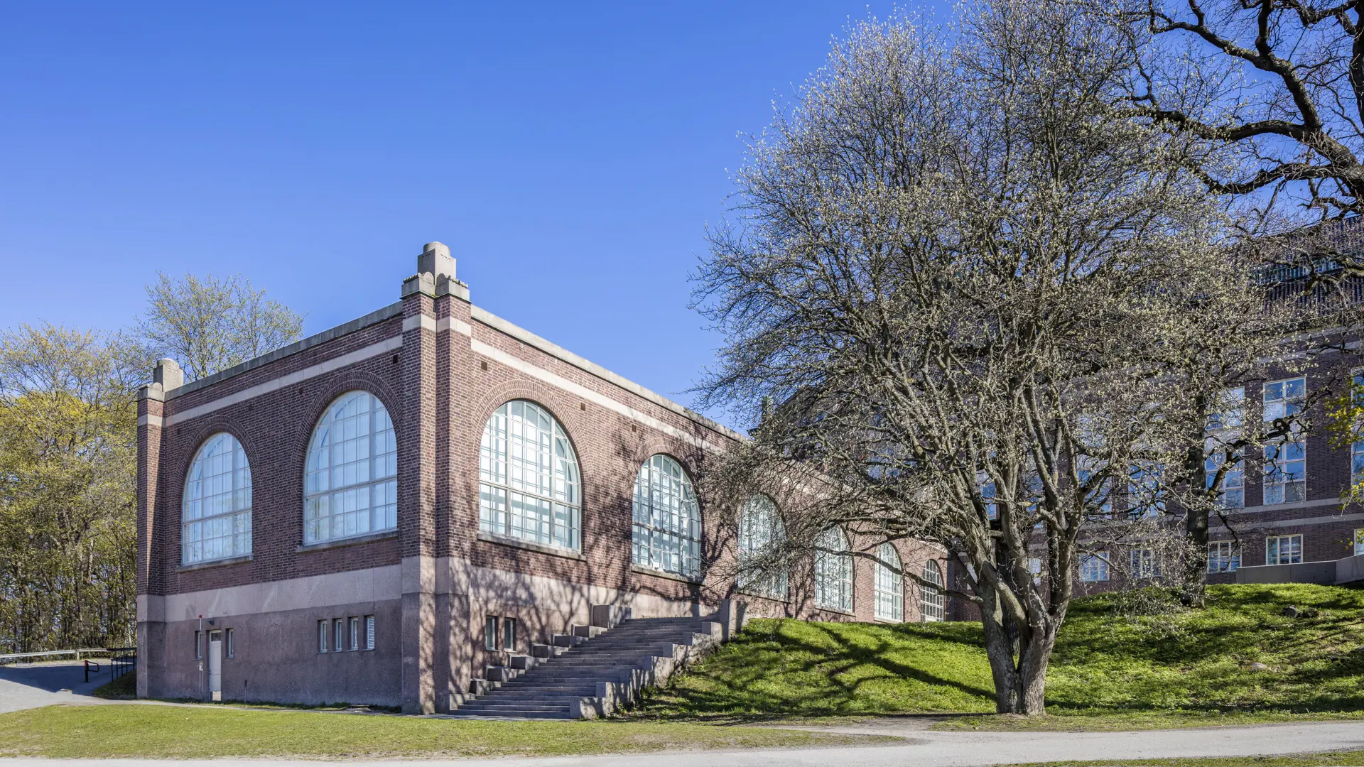 Naturhistoriska museet. Låg tillbyggnad i brunt tegel med stora, rundbågiga fönster. Vår och skir grönska.