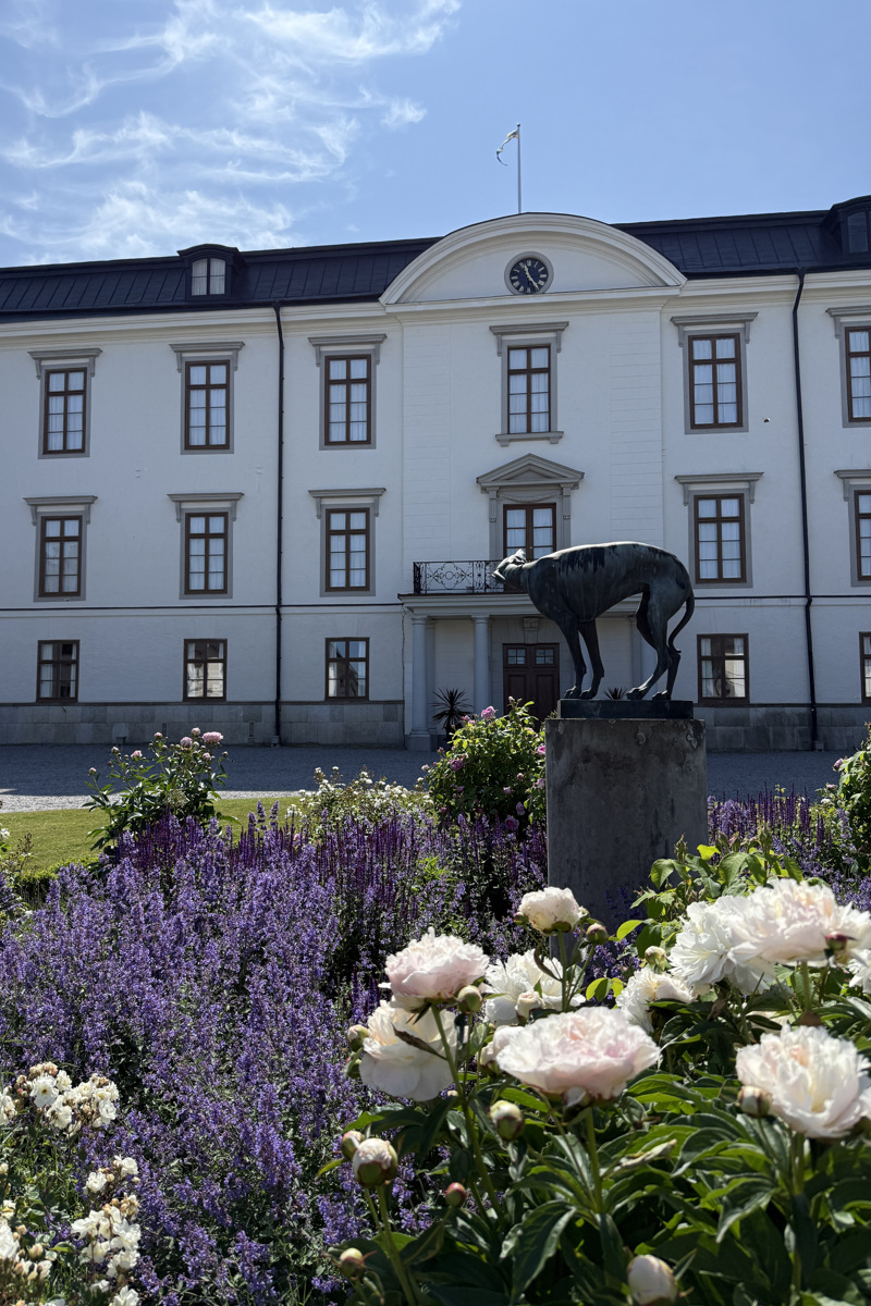 Rosersbergs slott. En vit trevåningsbyggnad med svart, brutet tak. I förgrunden blommor och en skulptur av en hund.