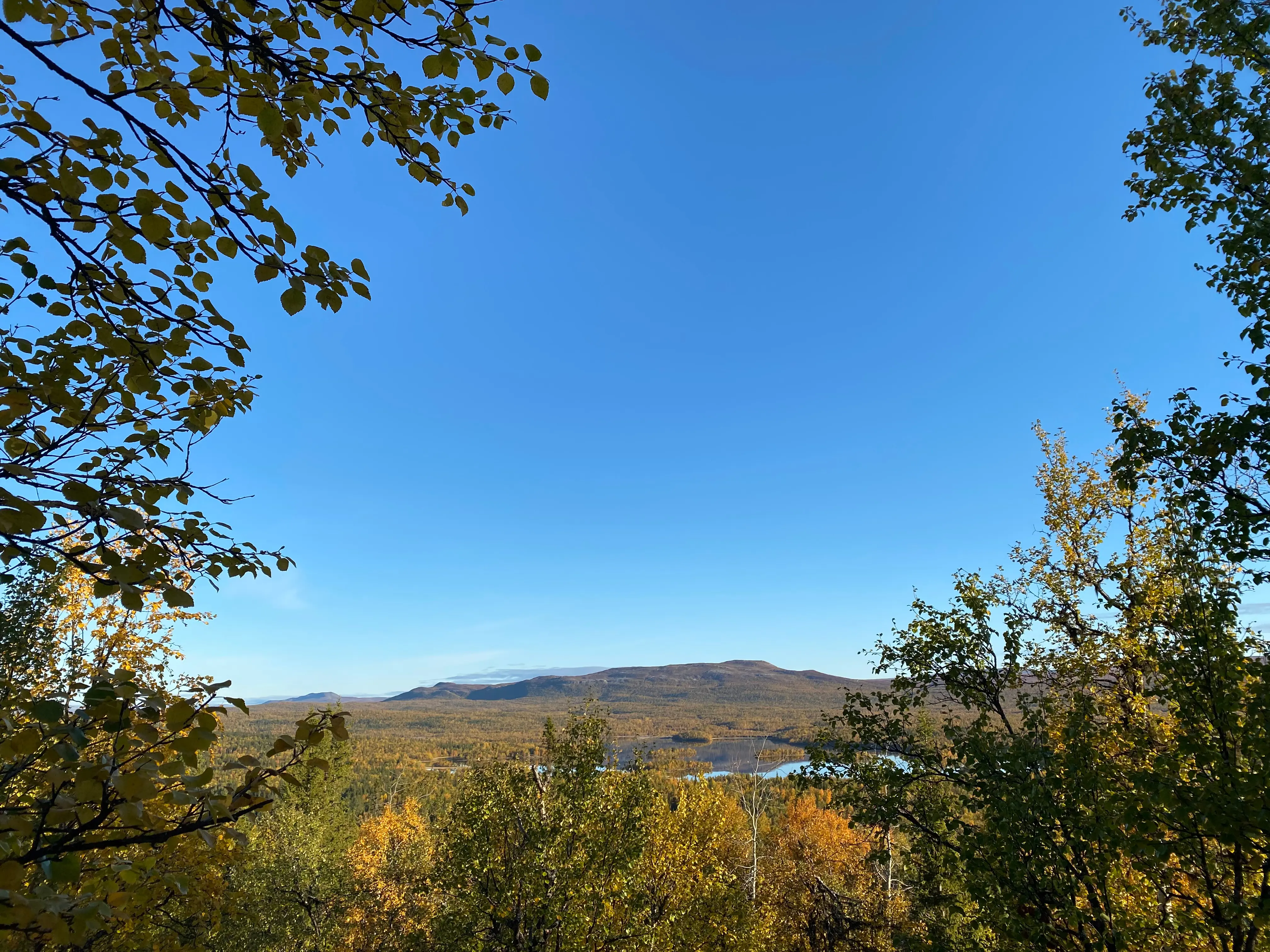 Utsikt över ett fjäll-landskap i höstförger. Låga berg brer ut sig kring en dal med en stilla sjö. Klarblå himmel.