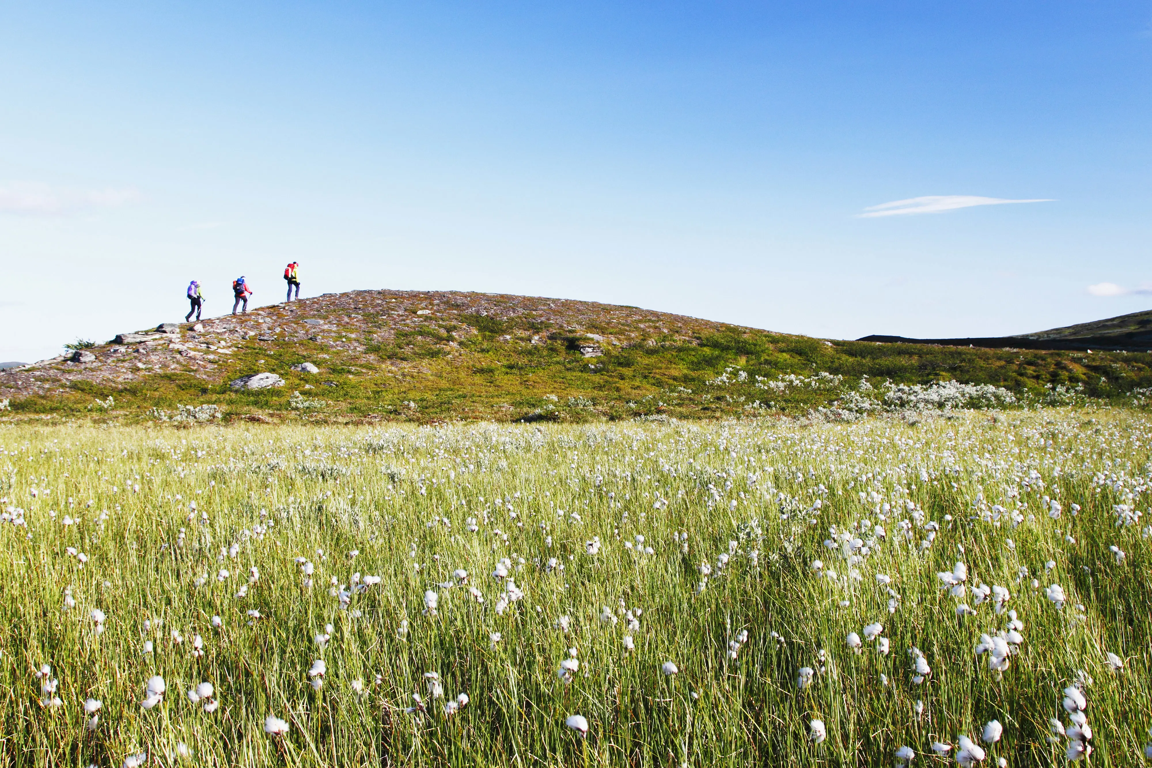 Vandringsled med folk som vandrar längst en ås.