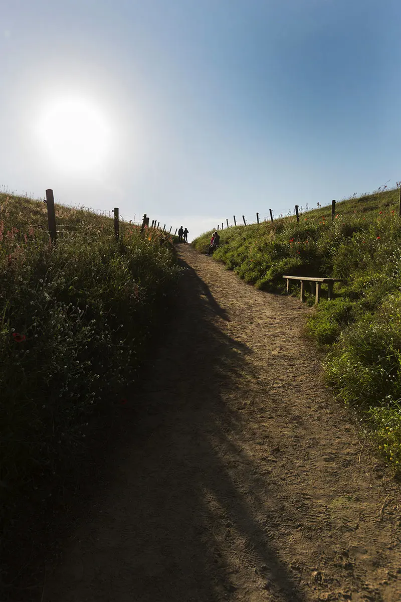 Stigen till Ales stenar