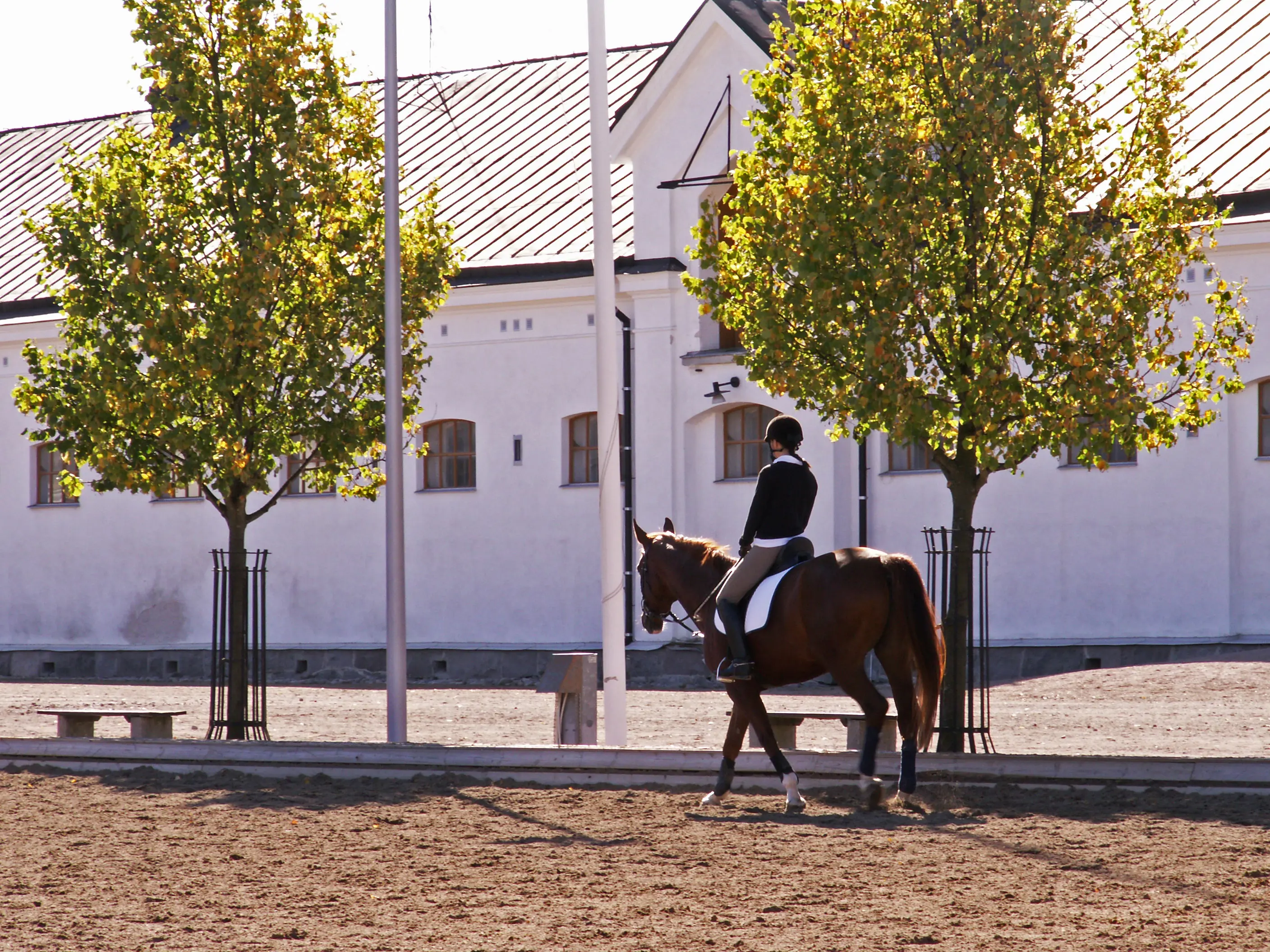 Södra stallet. Ryttare på en brun häst framför en stor, långsträckt stallbyggnad klädd i vit puts.