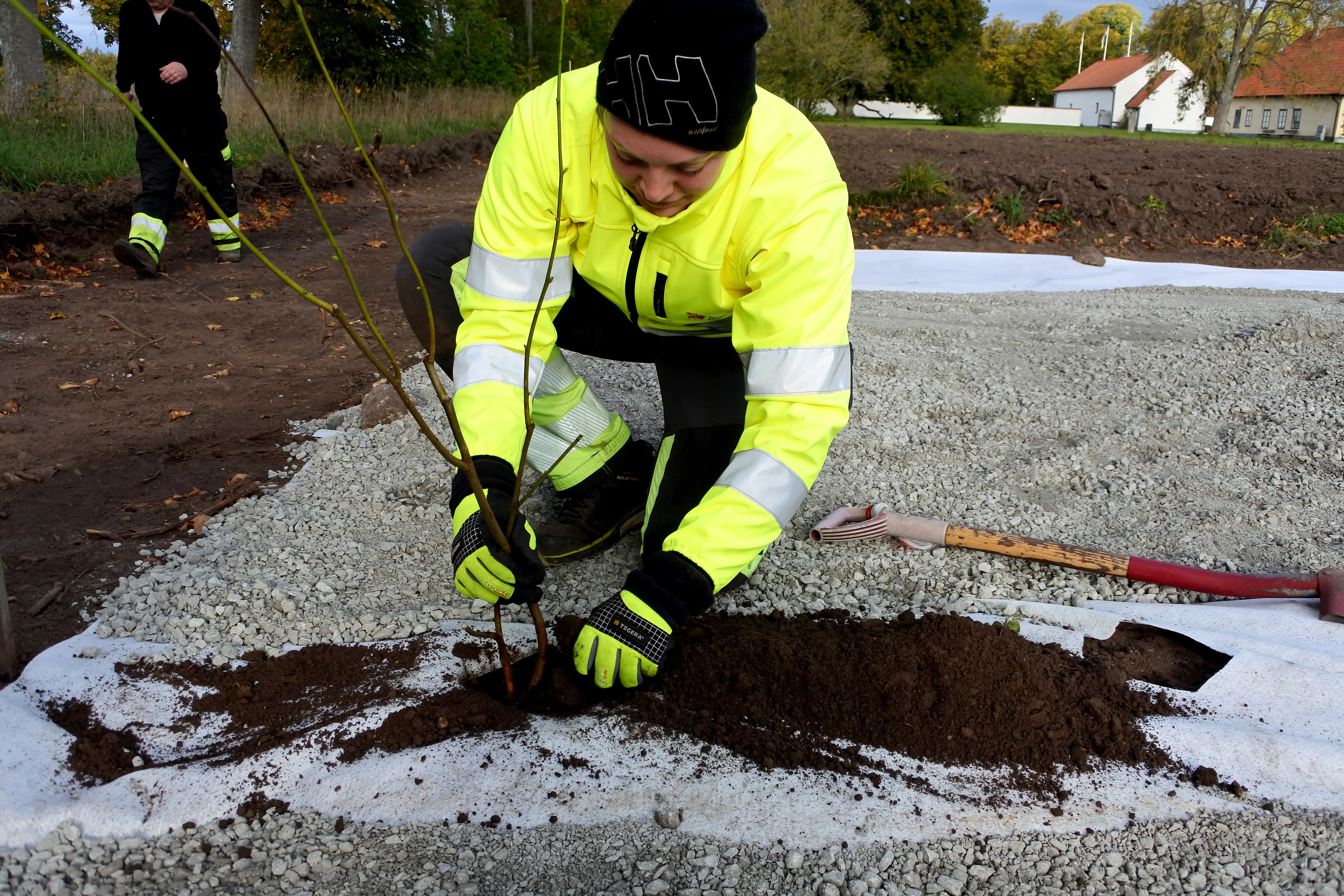 Planta för planta sätts varsamt på plats i den grusade trädgårdsgången.