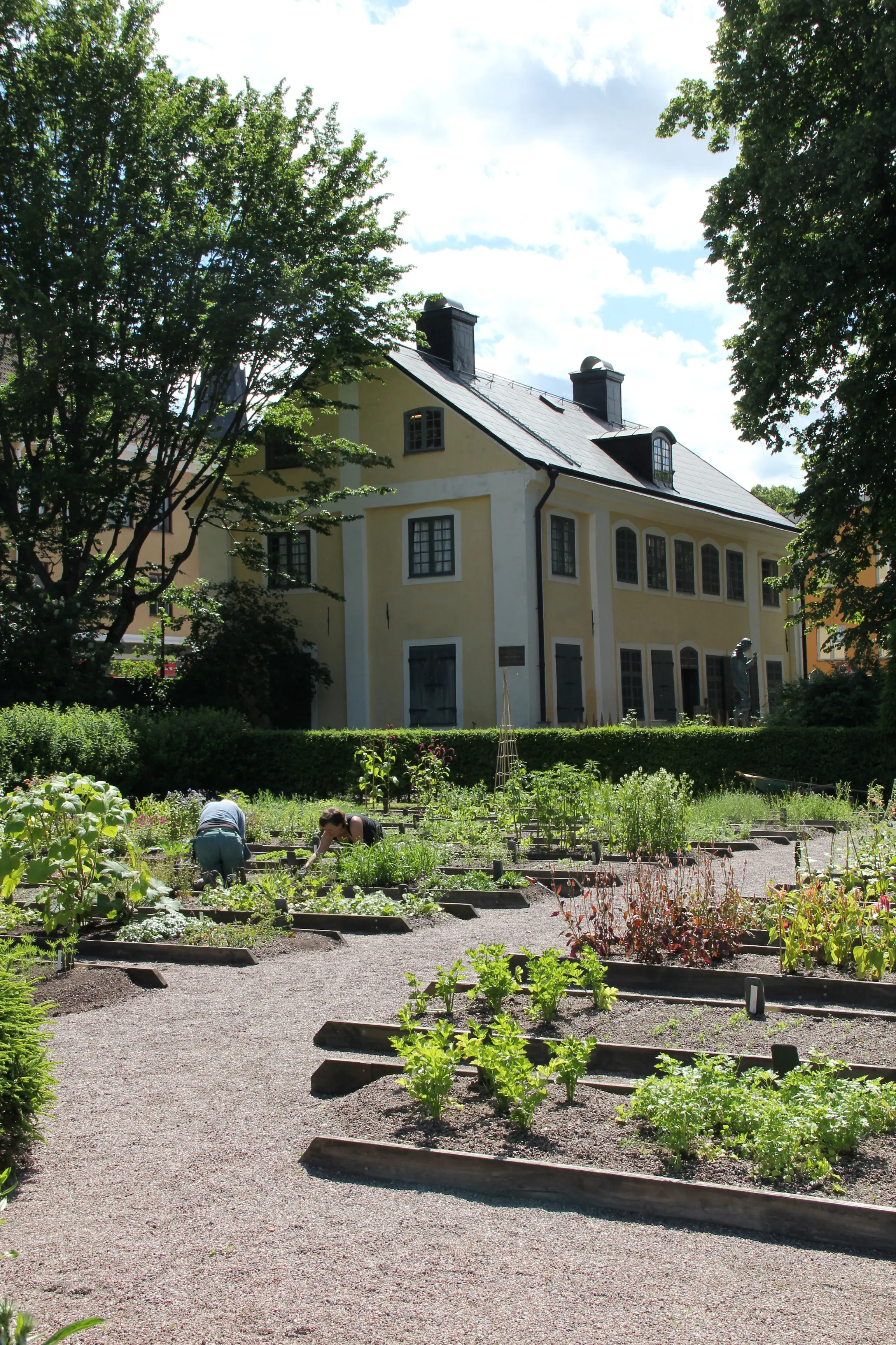 Linnémuseet i Uppsala sett från Linnéträdgården. Två personer arbetar i en rabatt. Sommar och grönska.