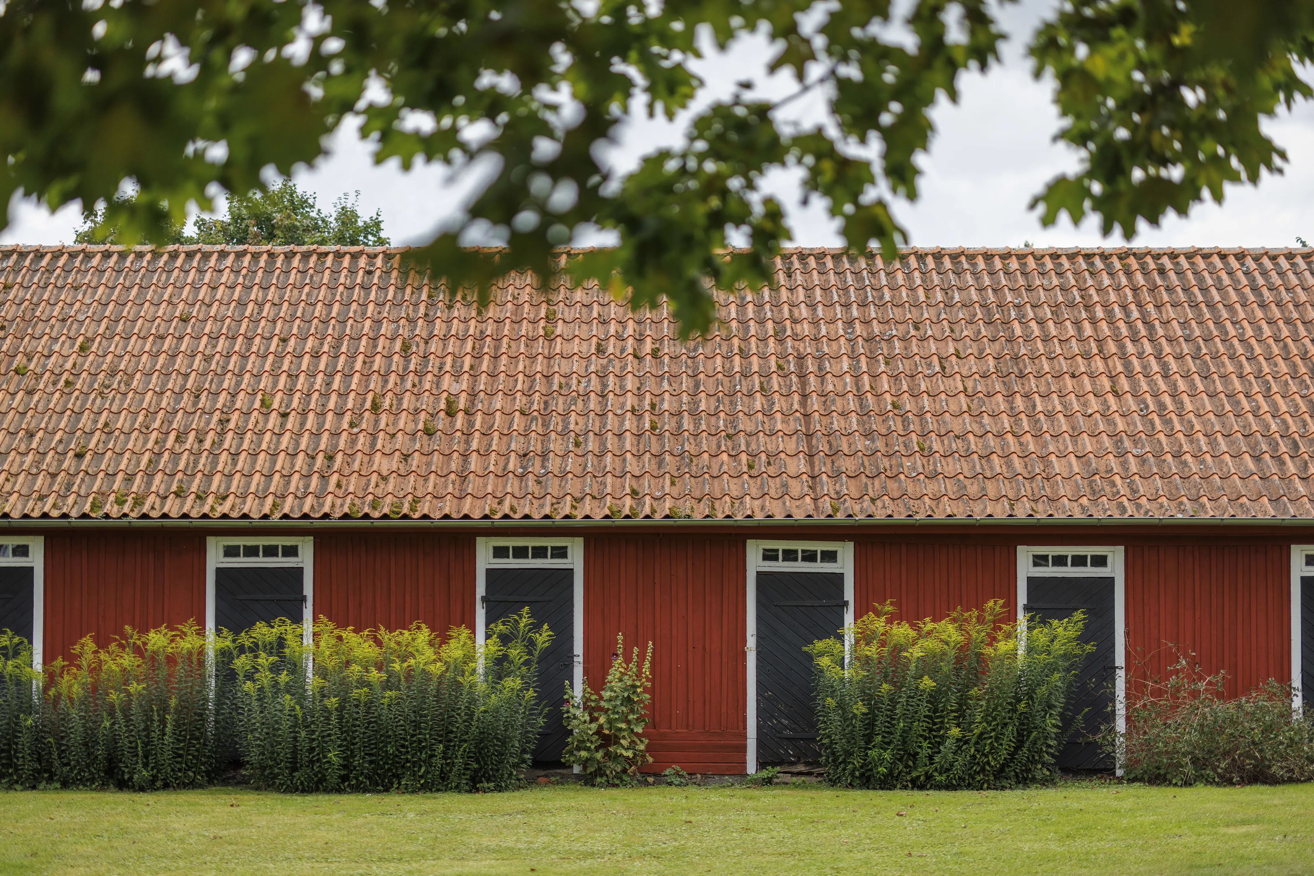 Bäckaskogs kungsgård