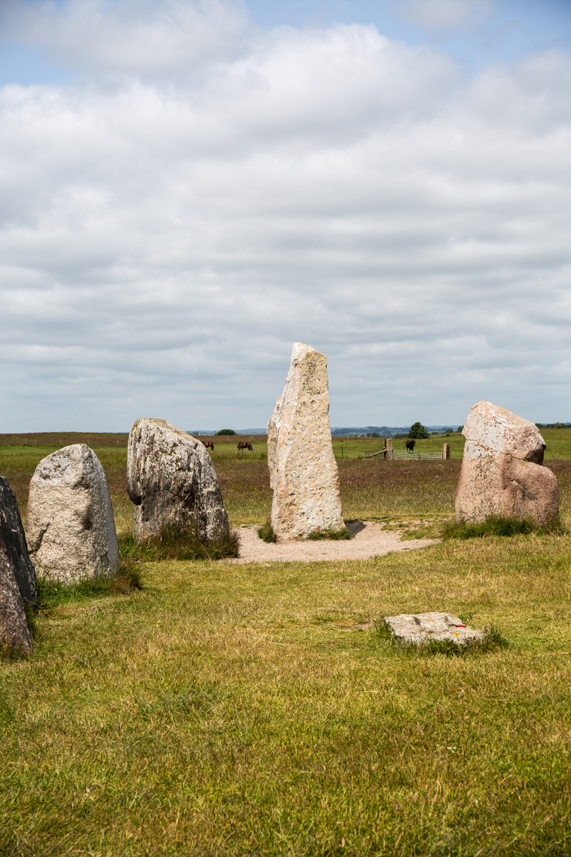 Ales stenar. Huvudänden av skepps-sättningen, med en lite högre och spetsigare sten. I bakgrunden betar hästar.