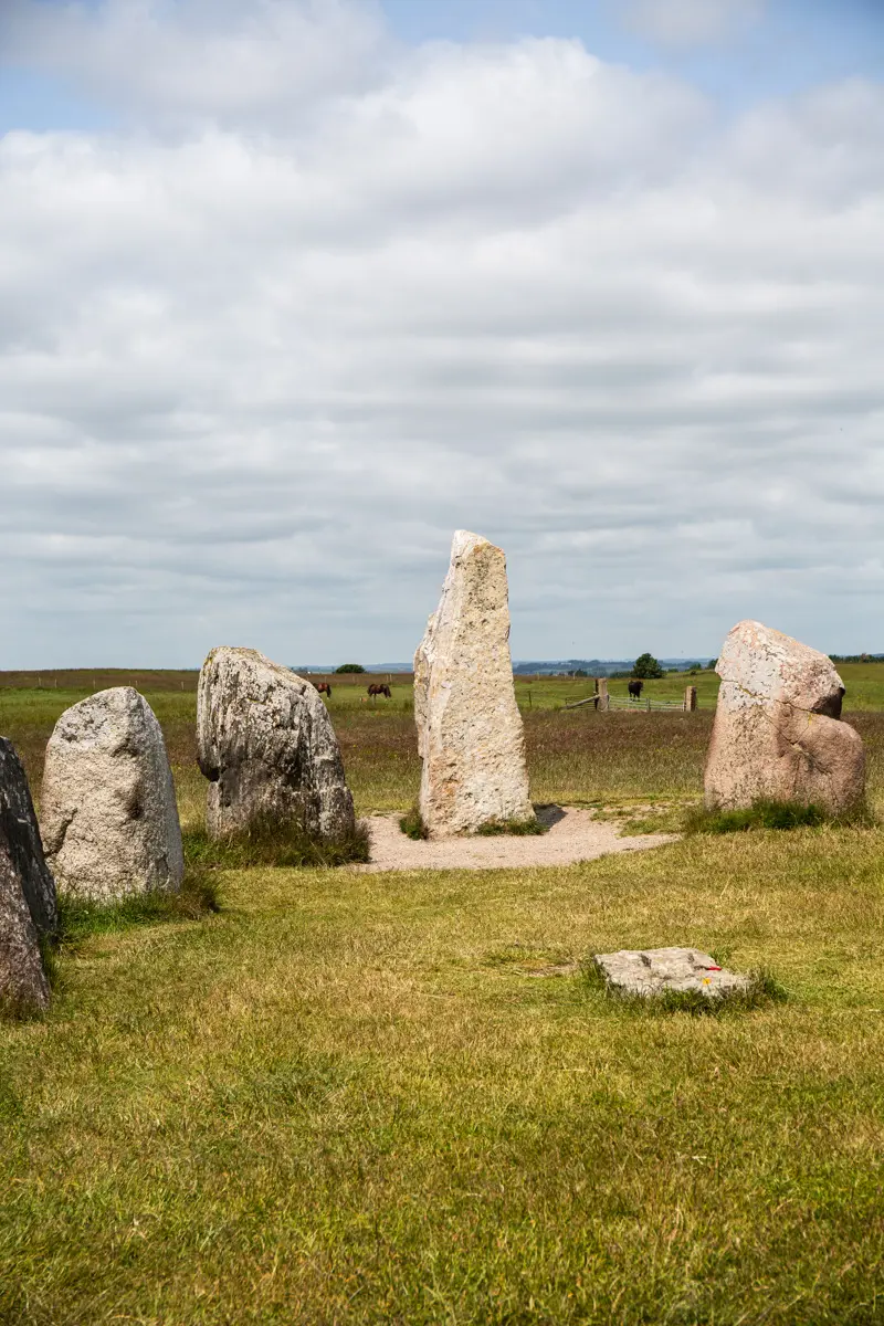 Ales stenar. Huvudänden av skepps-sättningen, med en lite högre och spetsigare sten. I bakgrunden betar hästar.