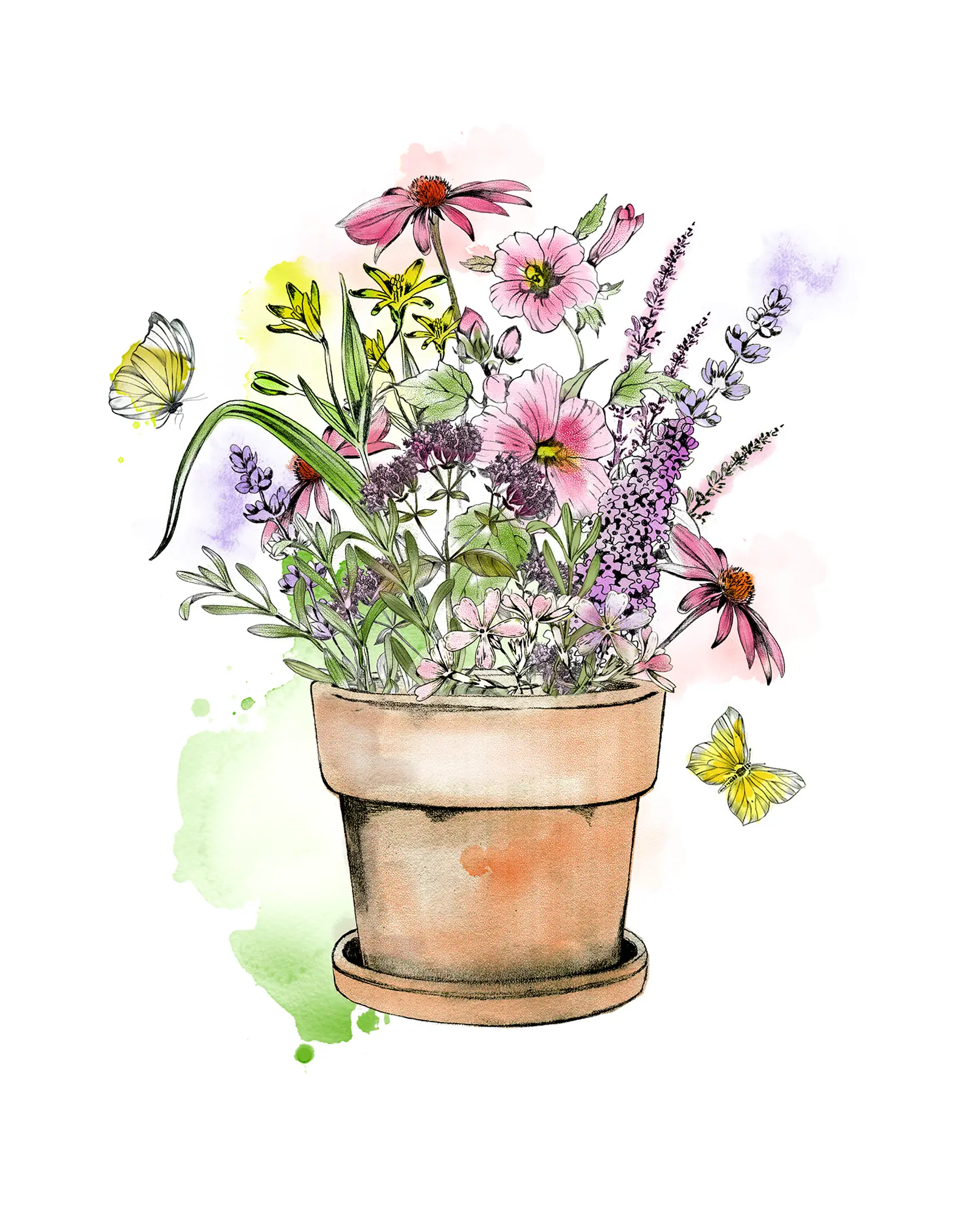 Blomkruka med pollinatörsvänliga blommor