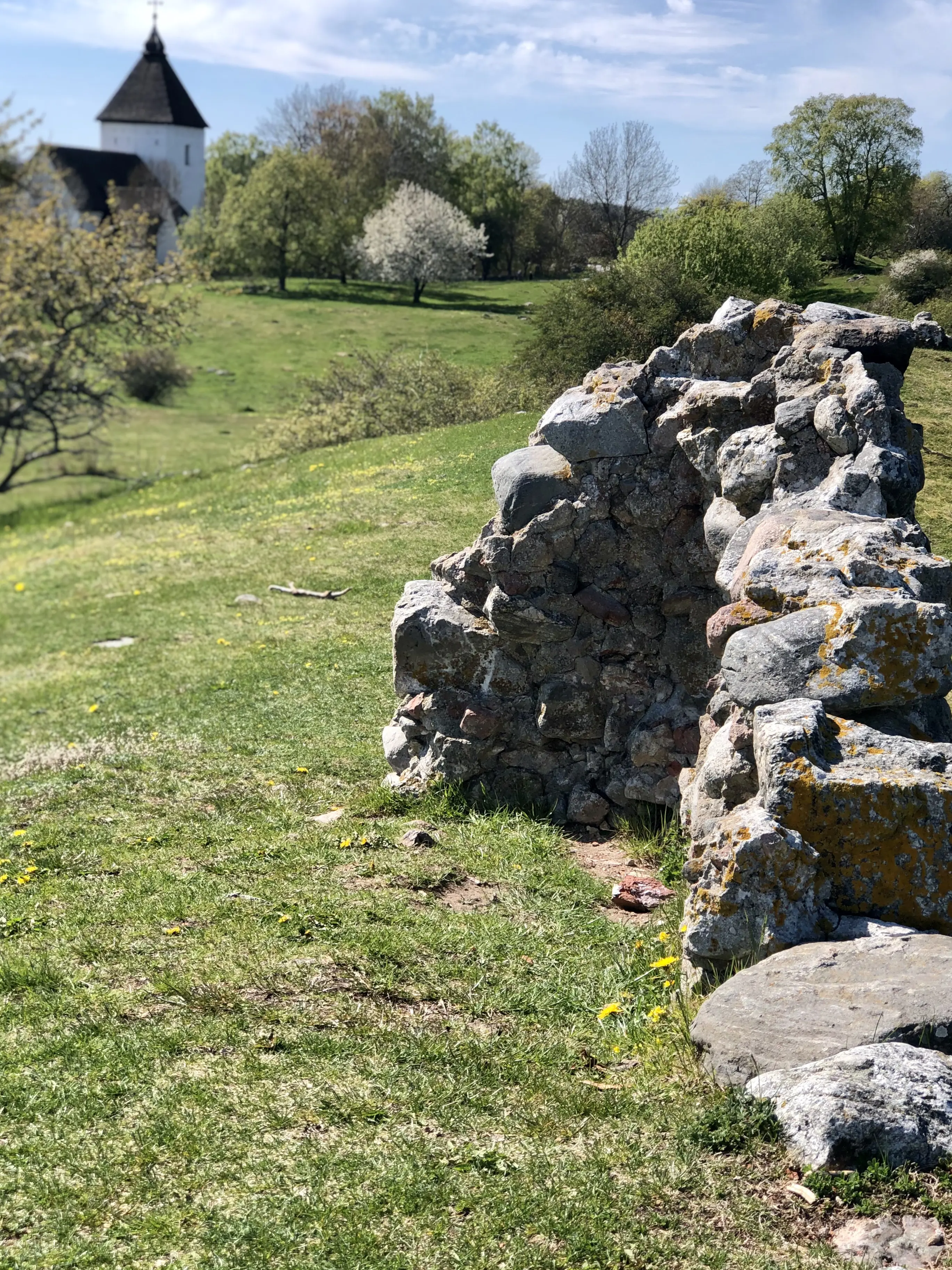 Ruinen av det medeltida Alsnö hus på Adelsö. Vår och grönska.