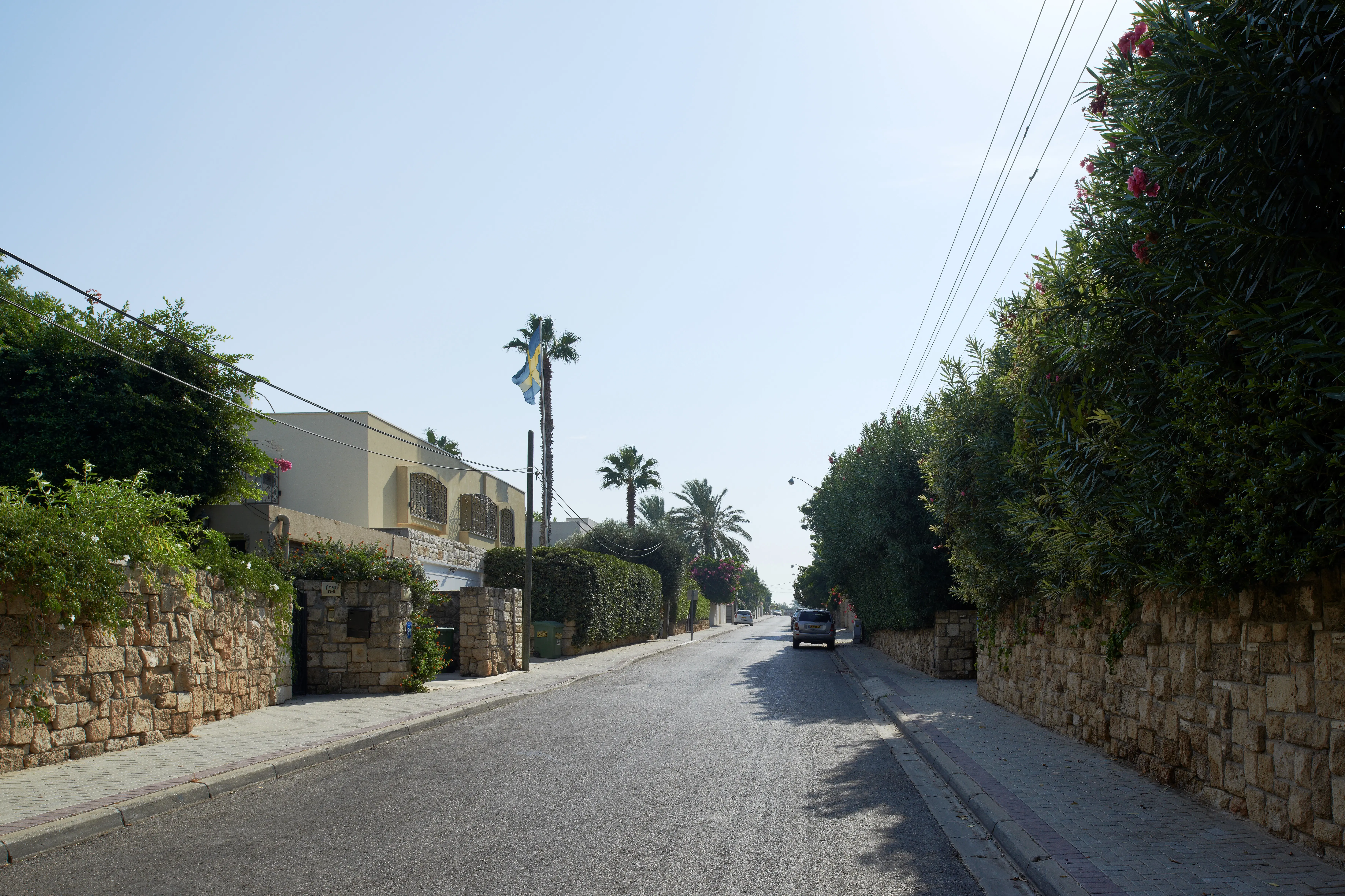 Gata i Tel Aviv. Stenmurar omgärdar trädgårdarna på ömse sidor, palmer och täta häckar skuggar och skyddar från insyn.