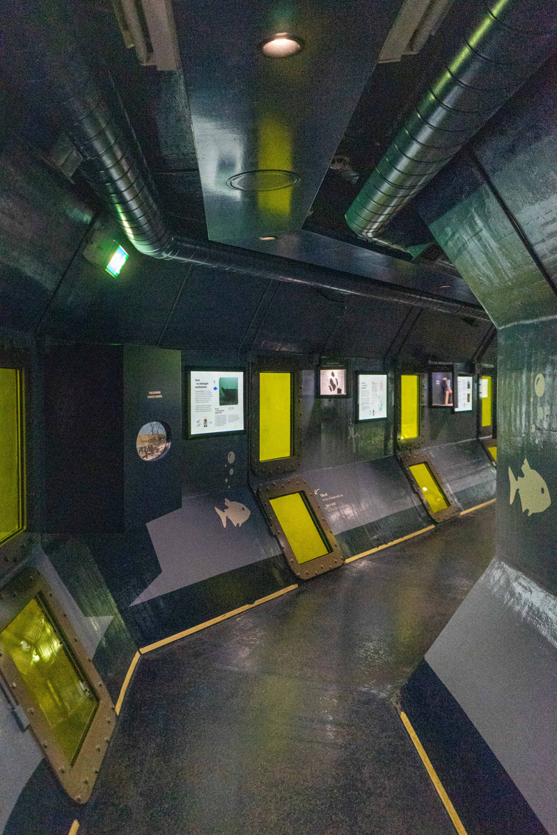 Marinmuseum. Undervattenstunnel med fönster.