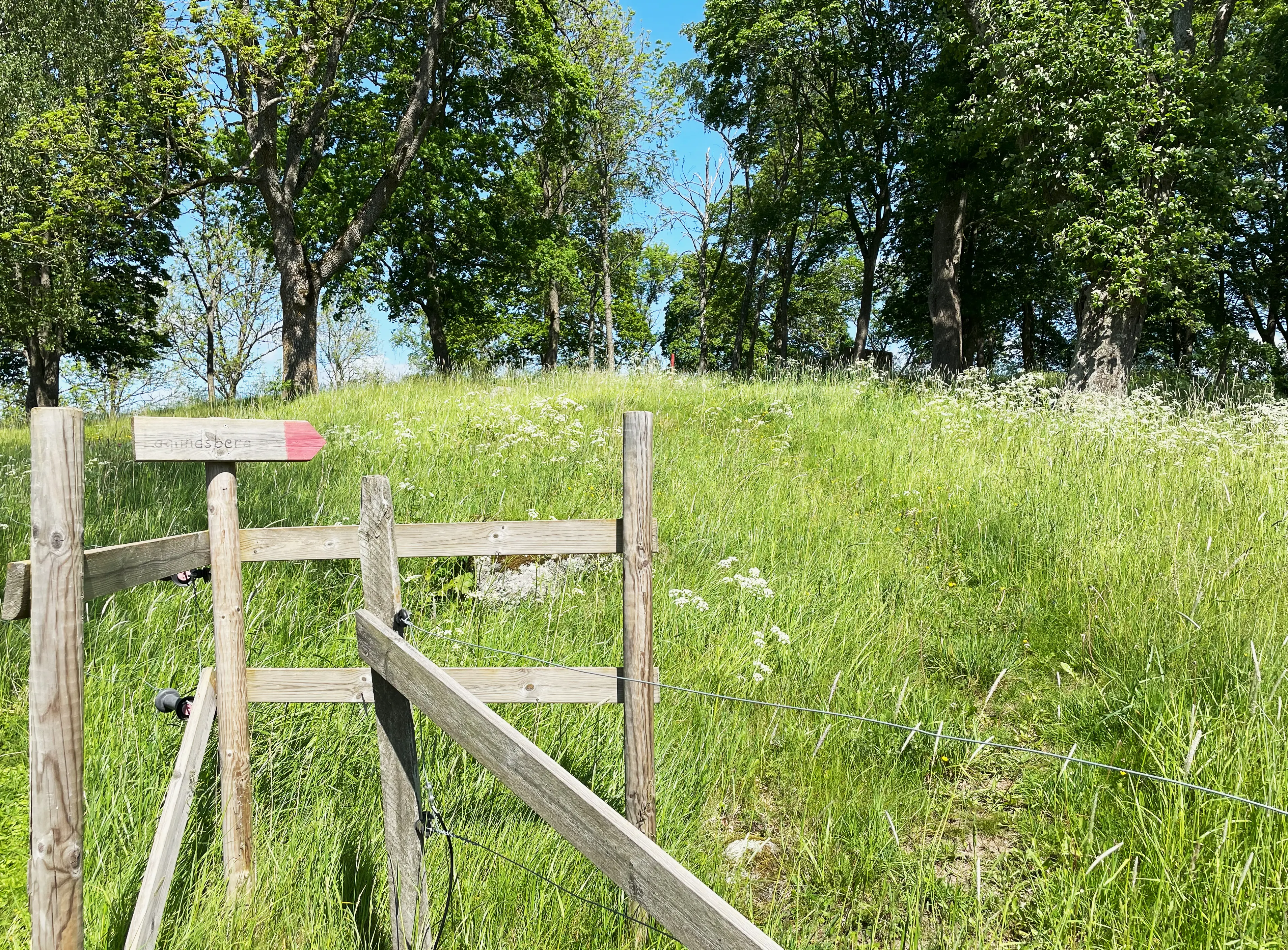 Lagundsberg, en kulle med ängs-liknande växtlighet och krönt med höga träd. En enkel trä-skylt pekar mot en stig.