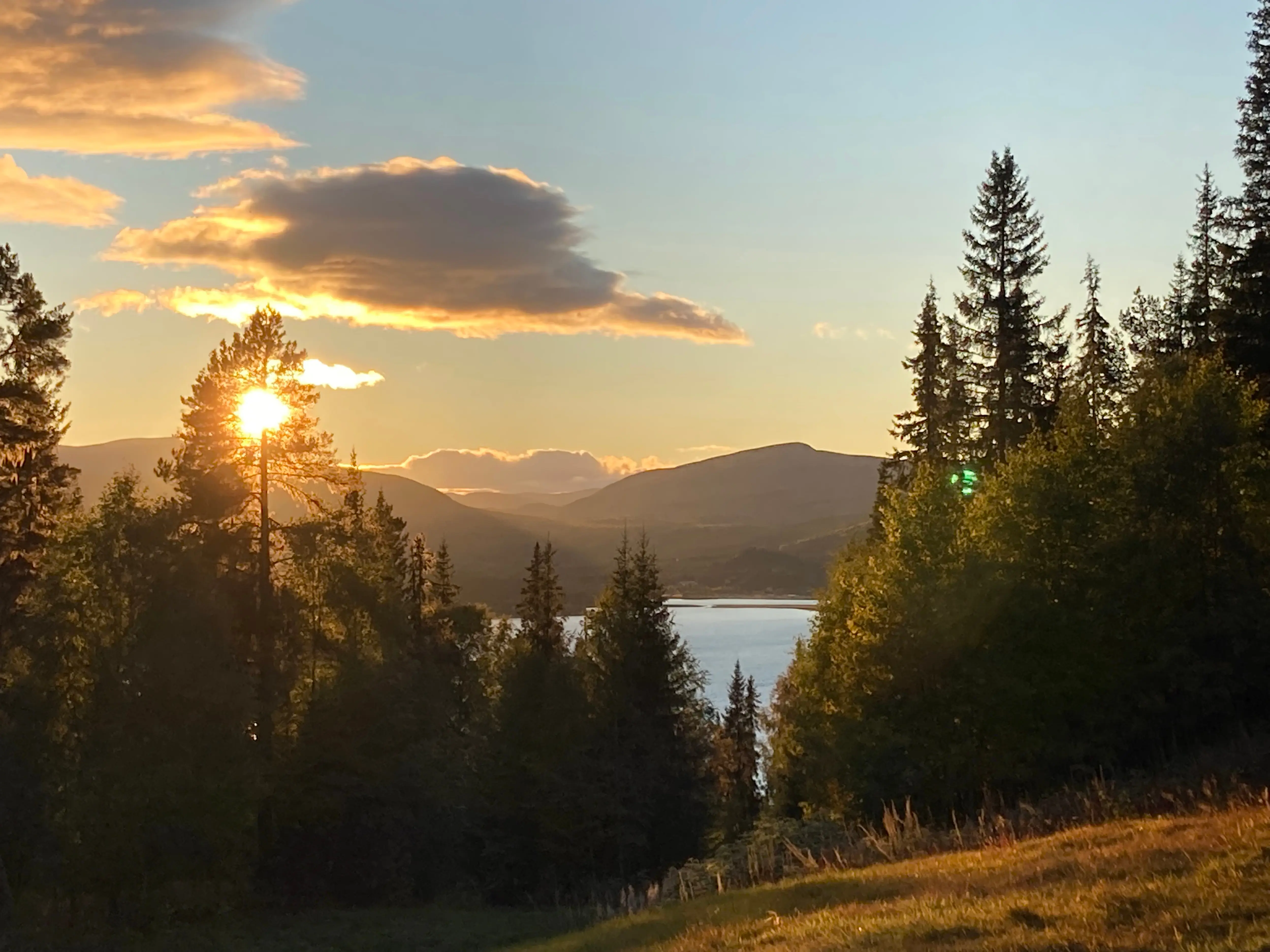 Utsikt från Örnbo fjäll-lägenhet över Gautsträsk och fjäll-landskapet. Genom en talltopp lyser kvälls-solen.