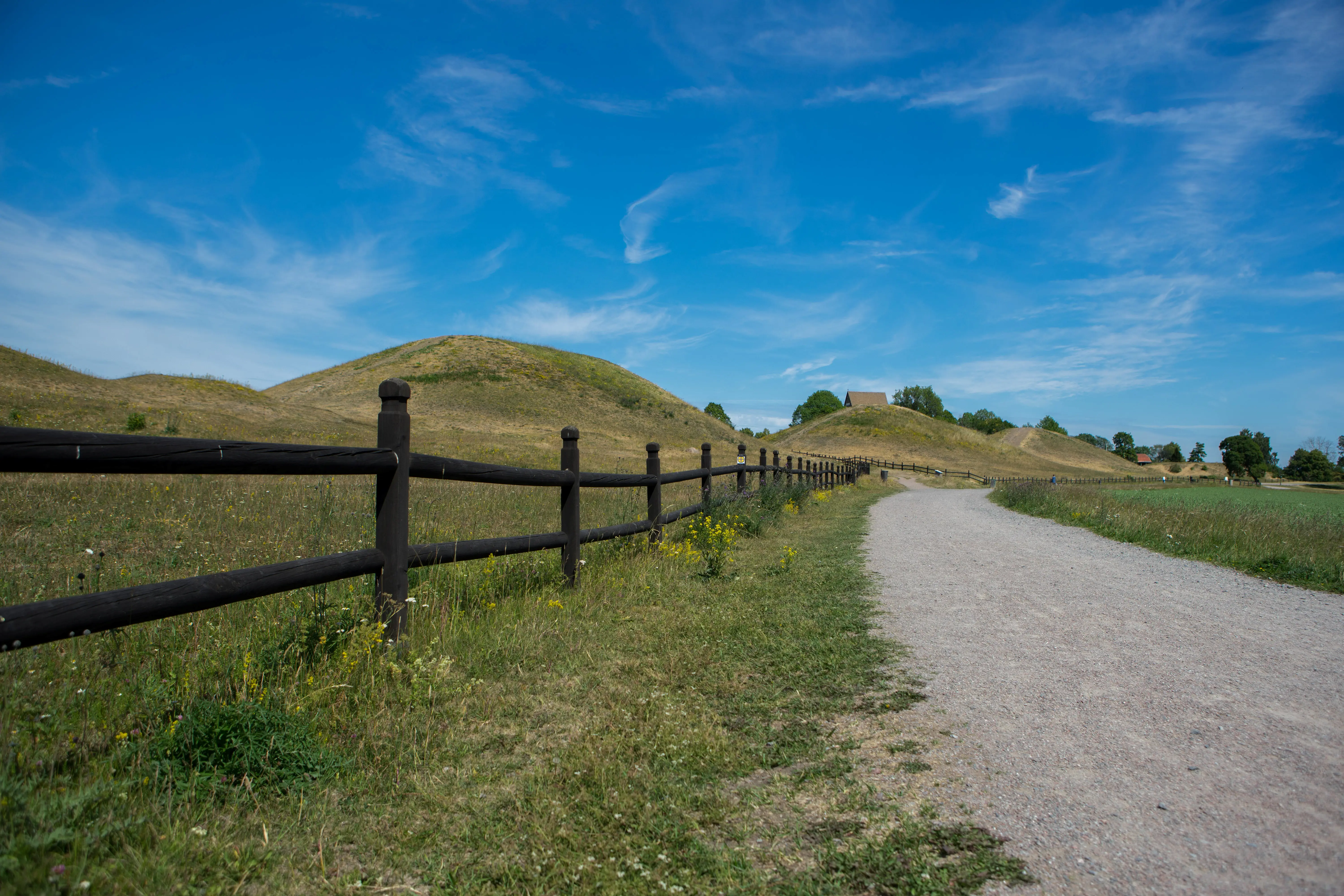 Uppsala högar. Stora gräsbevuxna gravhögar. Längs dem går en grusväg och ett trästaket.