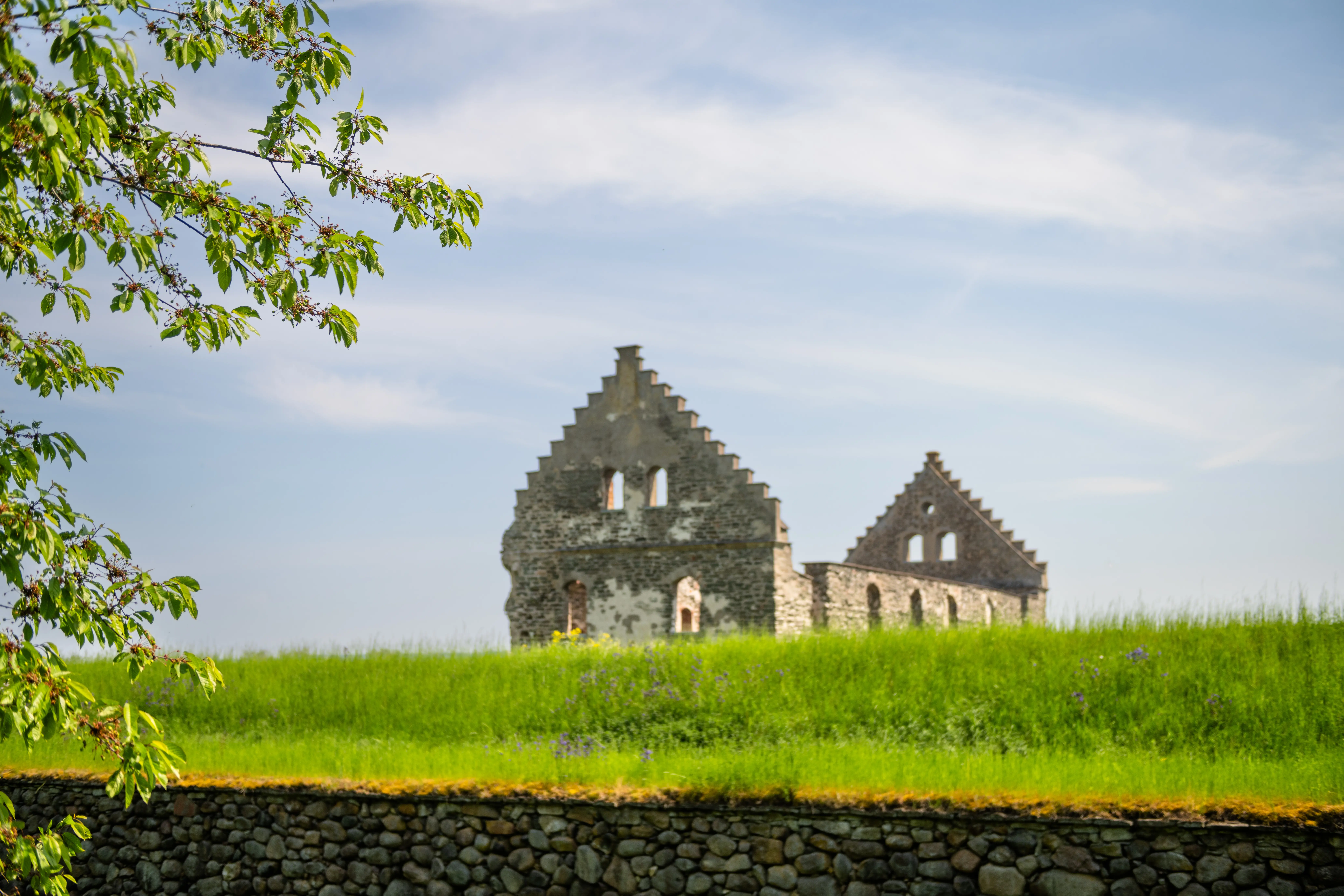 Visingsborgs slottsruin med sina trapp-gavlar. I förgrunden en av de gräsbevuxna skyddsvallarna.