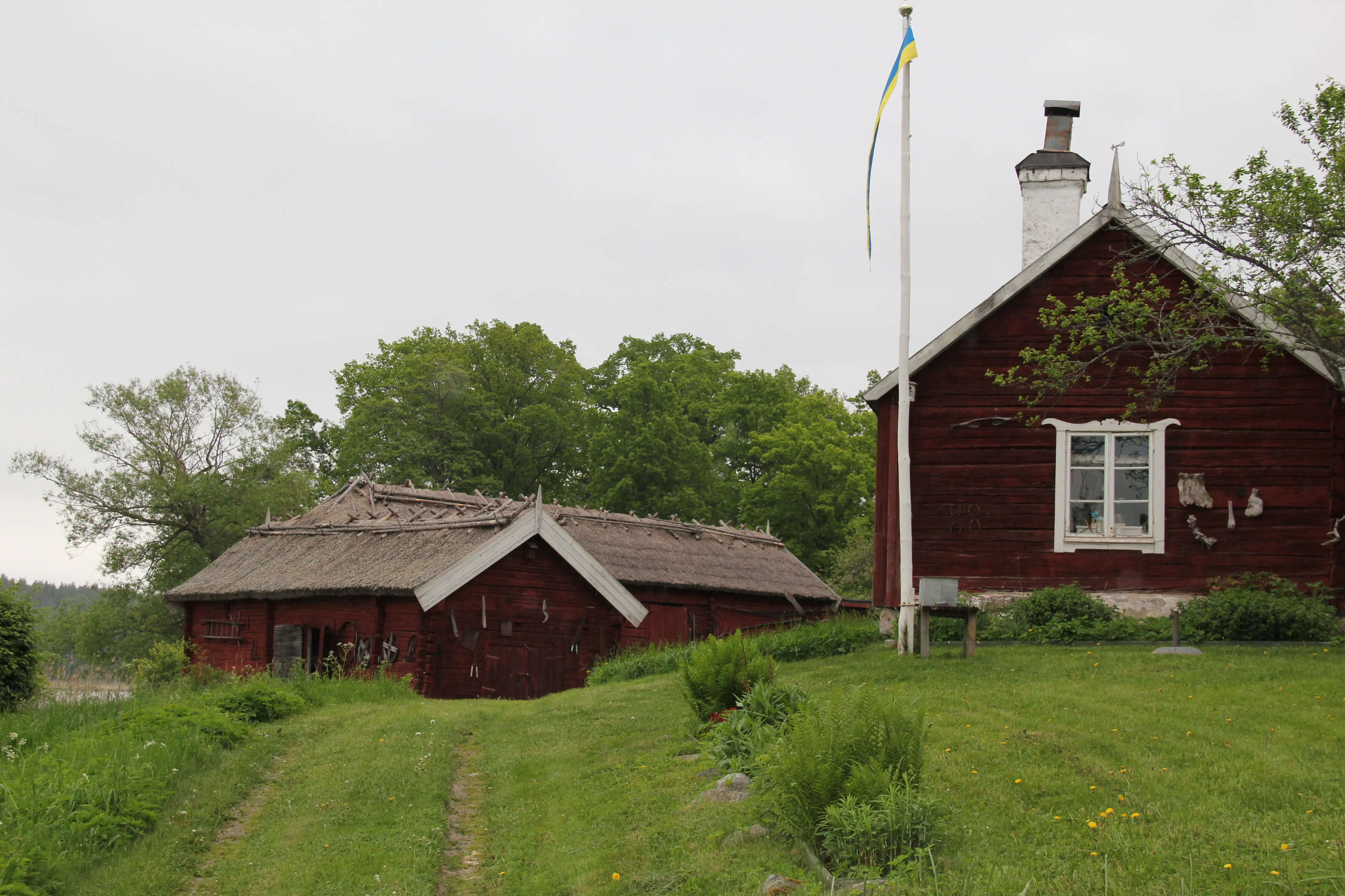 Torpet Fiskarudden vid Svartsjö kungsgård. En röd stuga med små röda, vasstäckta uthus. Sommar och grönska.