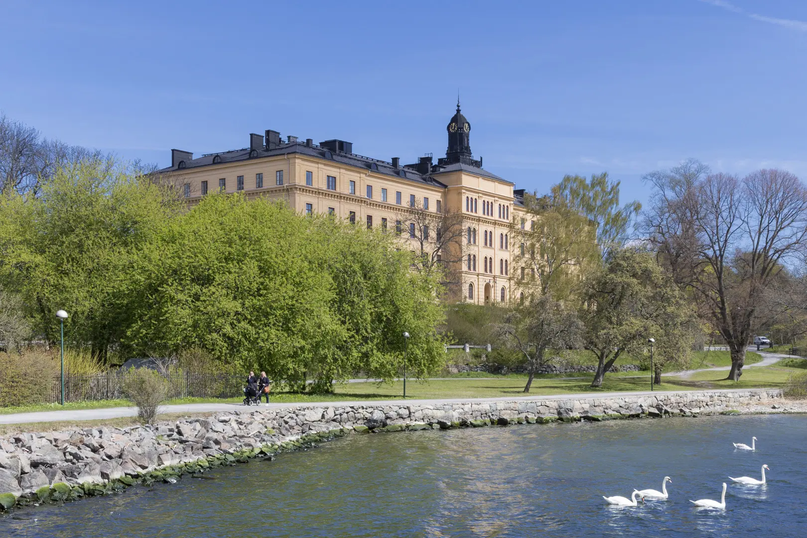 Manillaskolan sedd från vattnet. En gångväg går längs vattnet. Några svanar simmar på vattenytan.