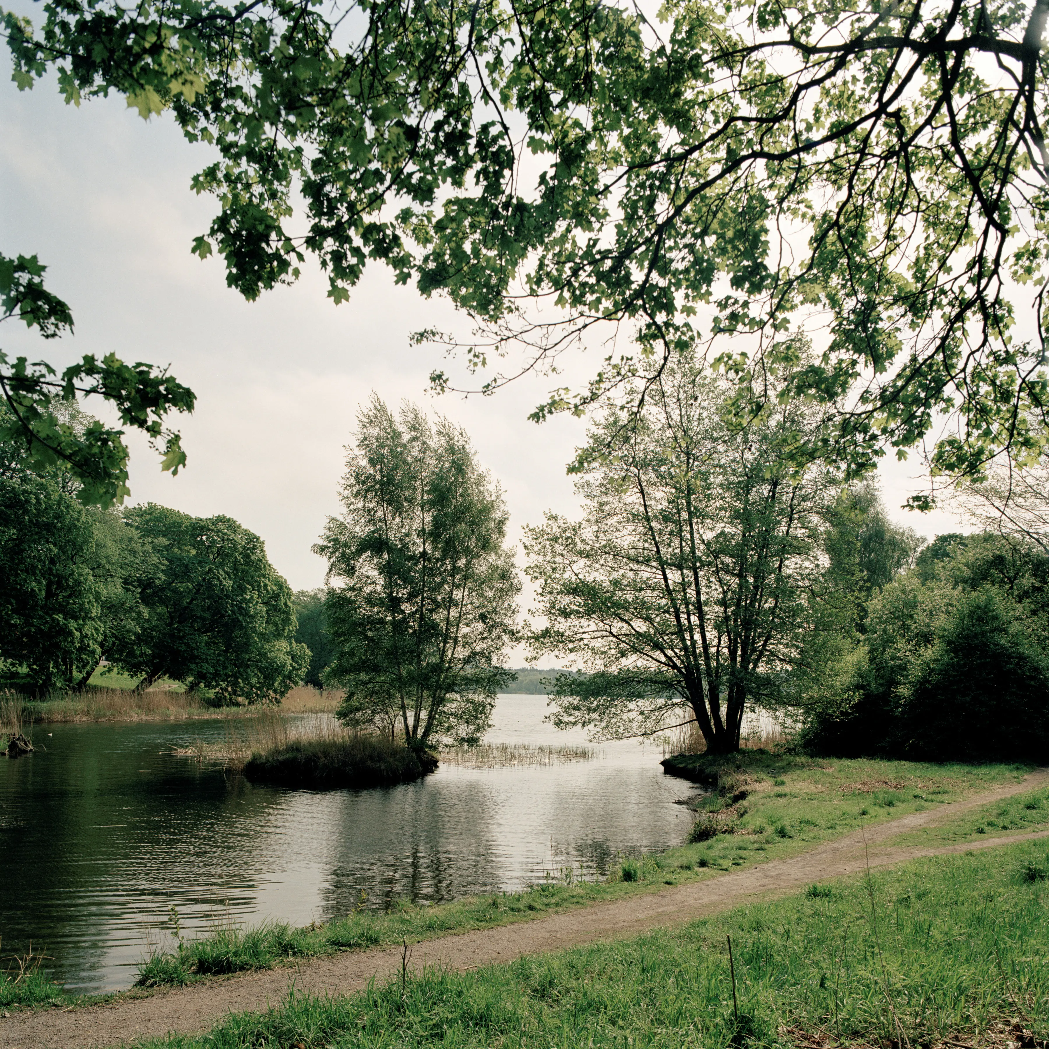 Vattenstråk i Hagaparken som rinner ut i Brunnsviken. Sensommar.