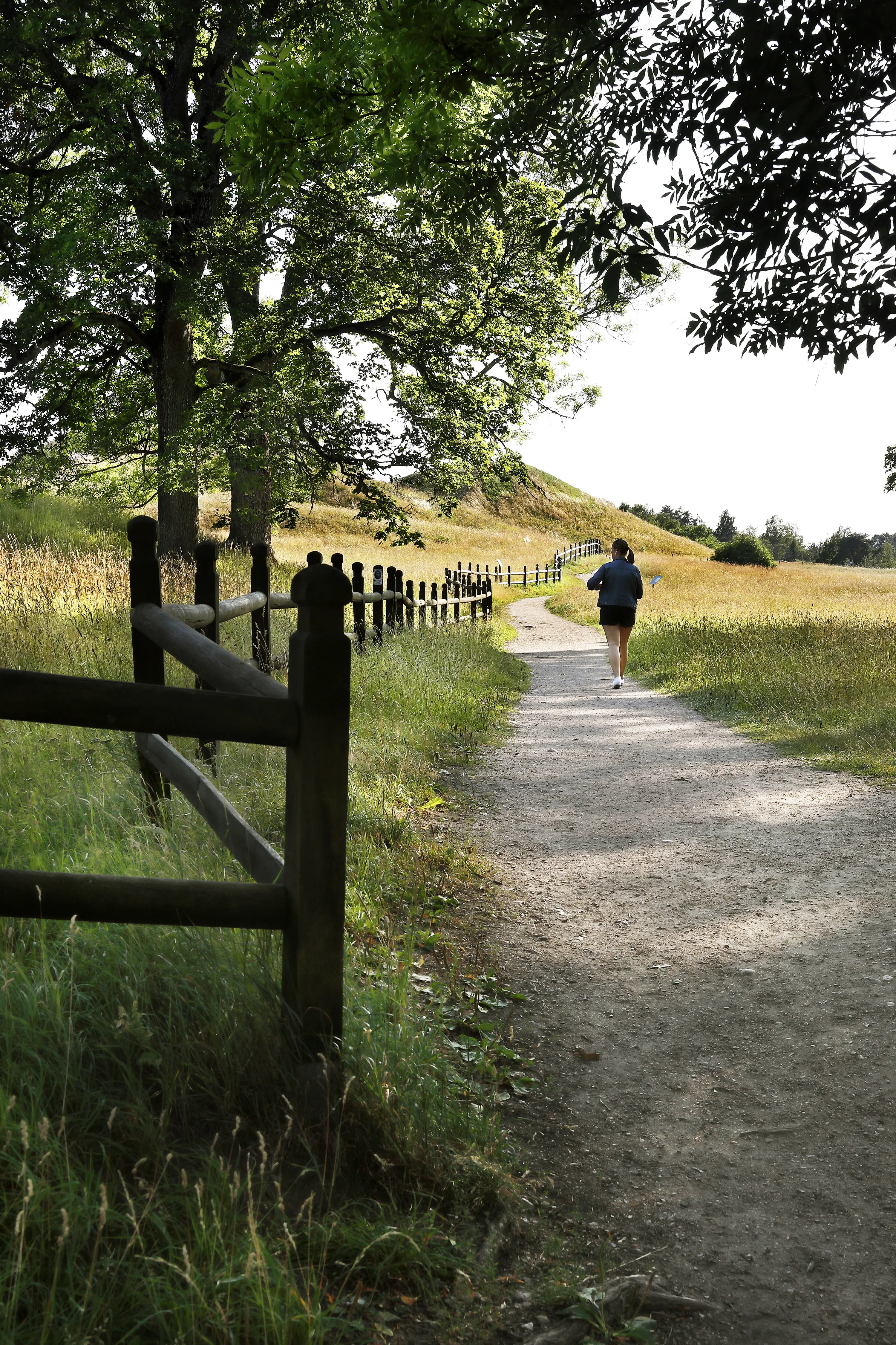 Uppsala högar, en bra plats för motion