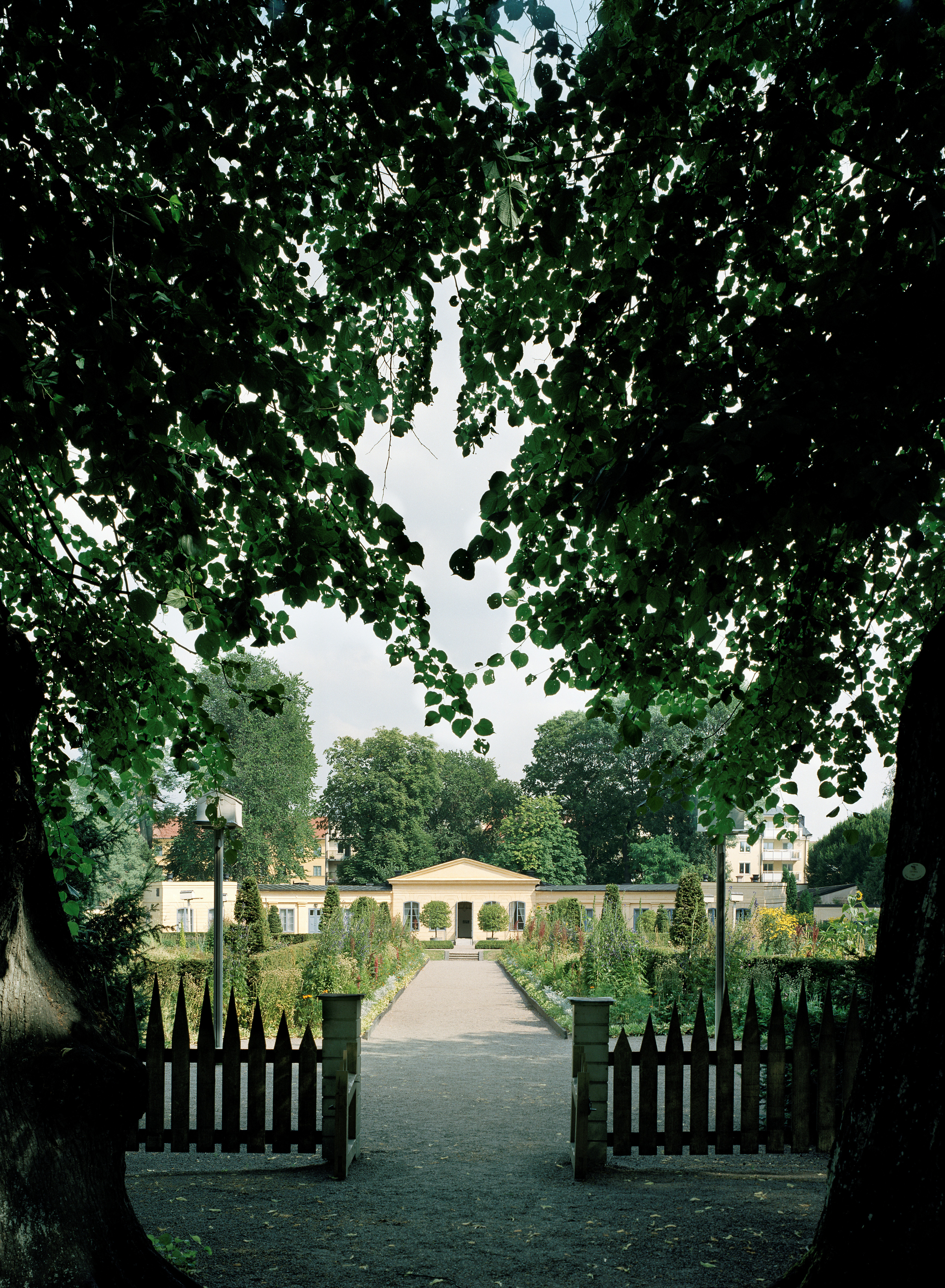 Ingång till Linnéträdgården som ramas in av stora träd. En grusgång leder mellan planteringarna fram till orangeriet. Sommar och grönska.