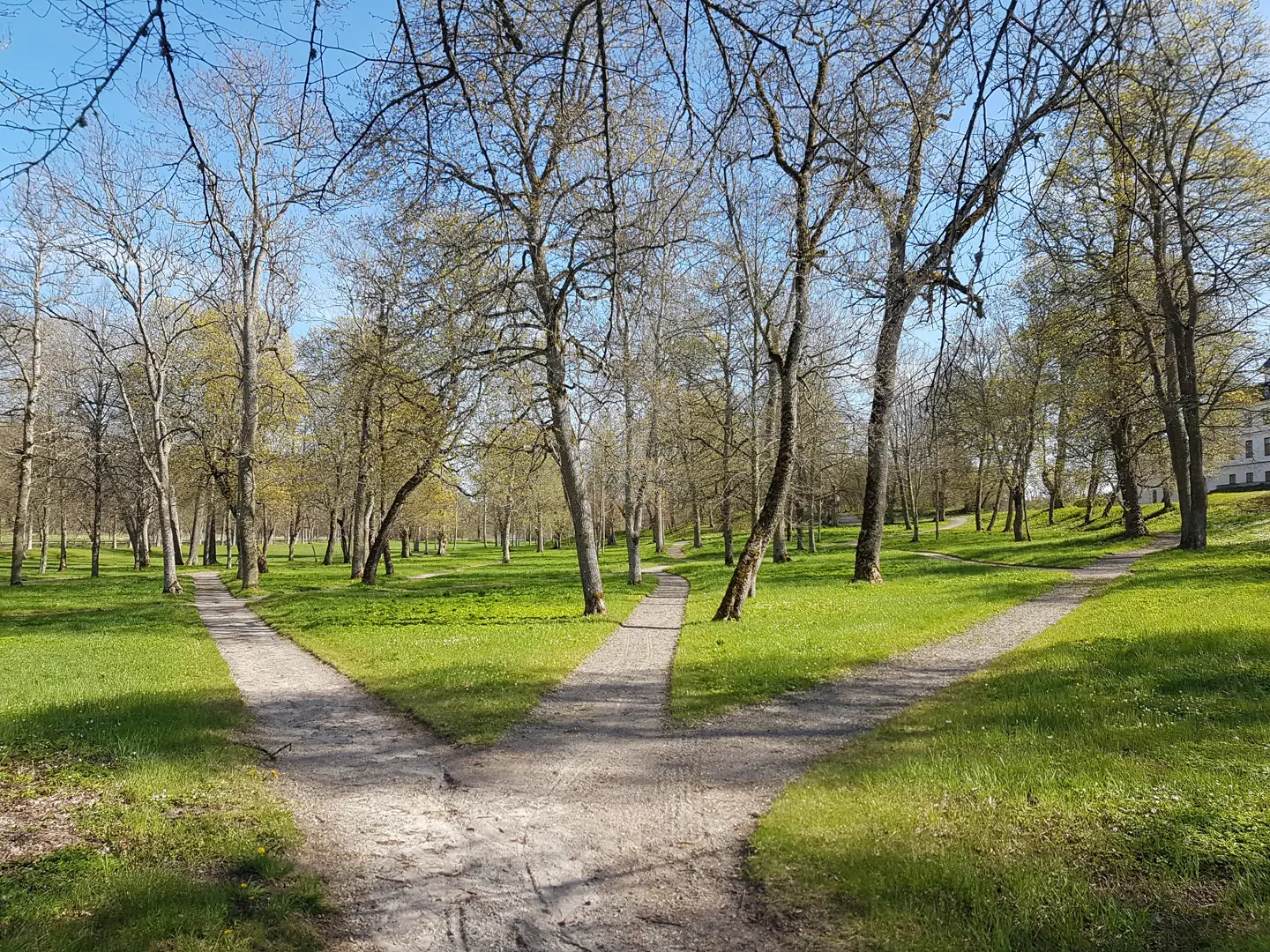 En grusgång delar sig i tre på en gräsyta med glest växande lövträd. Till höger skymtas en av byggnaderna tillhörande Rosersbergs slott.