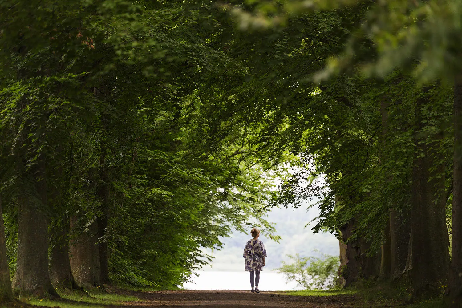 I parken vid Bäckaskogs slott ramar en trädallé in stigen ner mot Oppmannasjön.