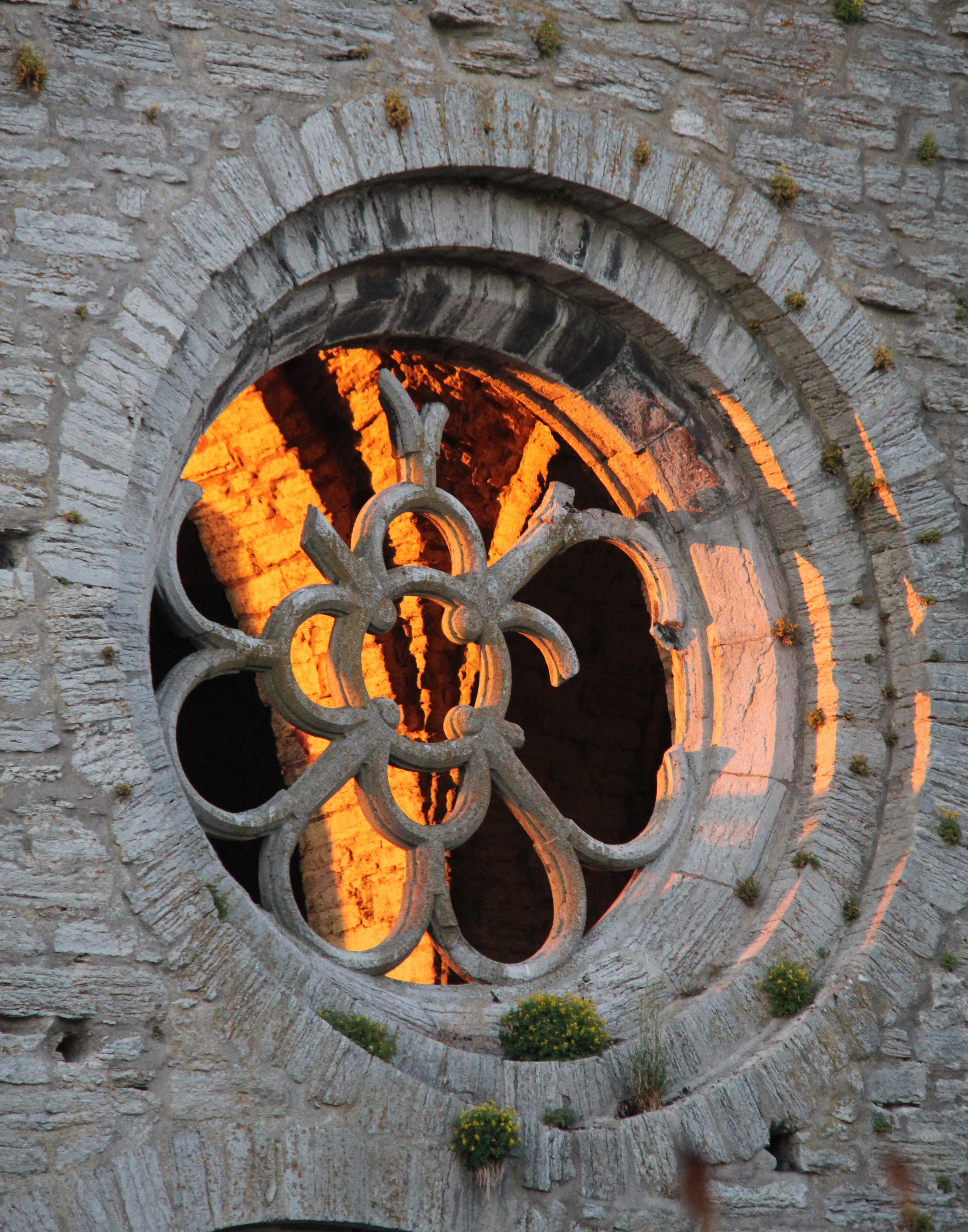Fönster i Sankt Nicolai kyrkoruin, Visby
