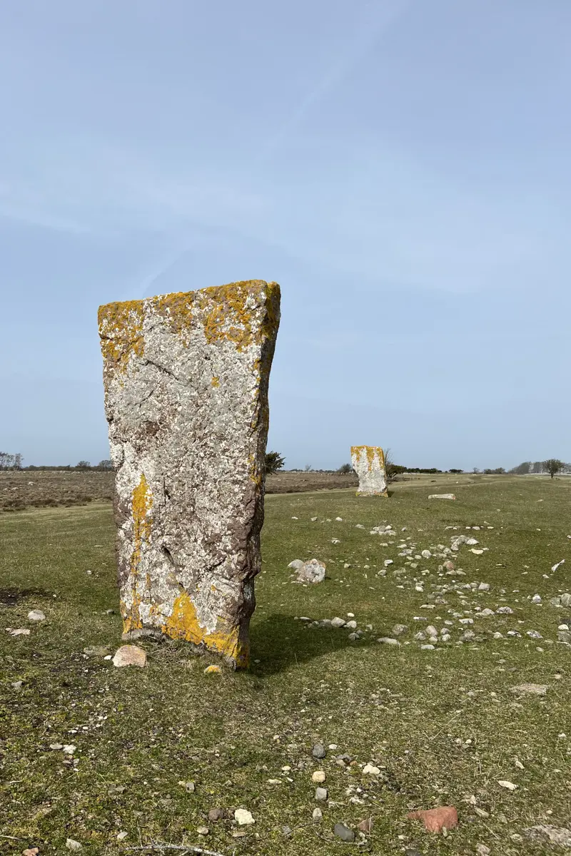 Två resta stenar i jordbrukslandskapet.