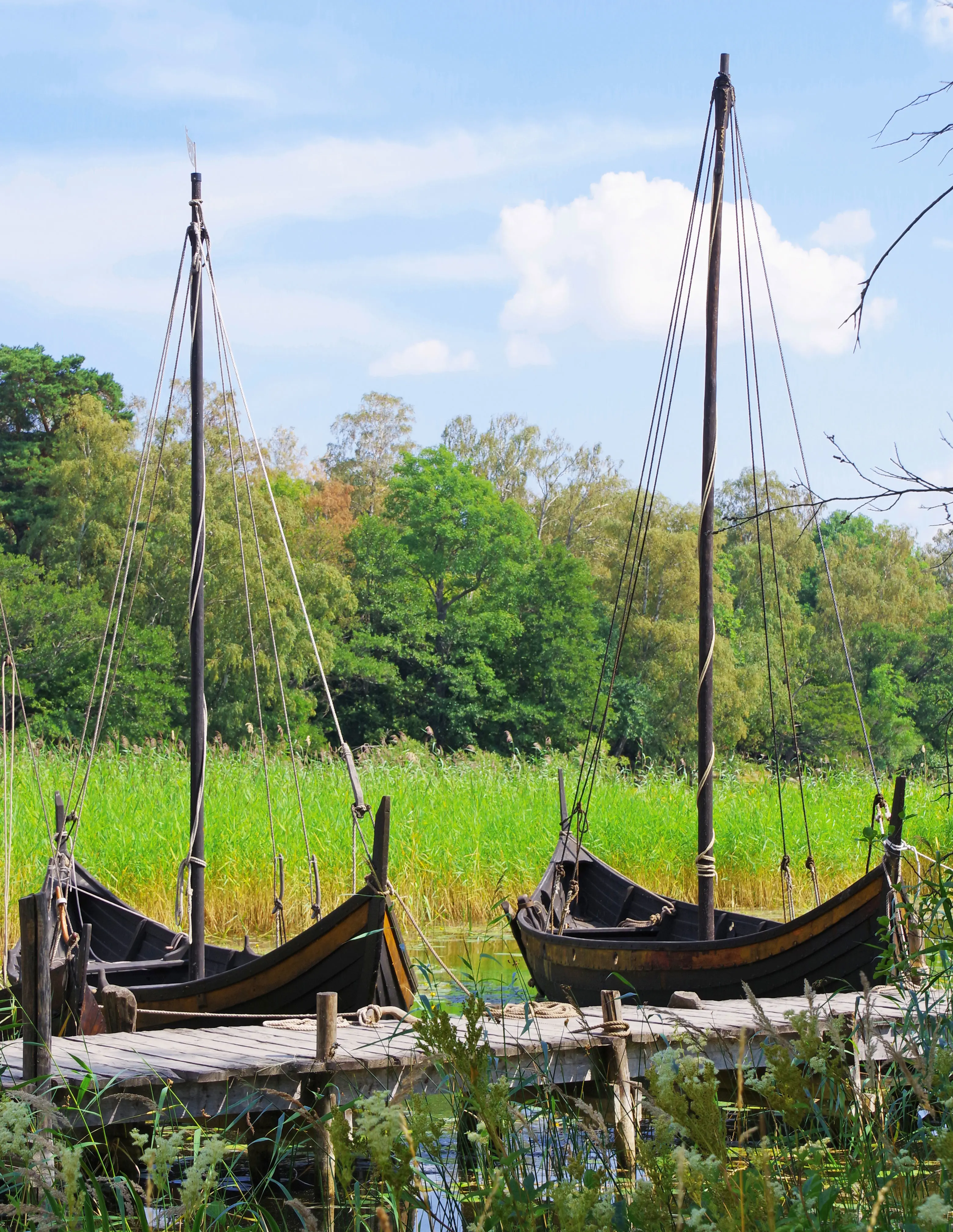 Vikingabåtar vid brygga i vatten mot grön vass.
