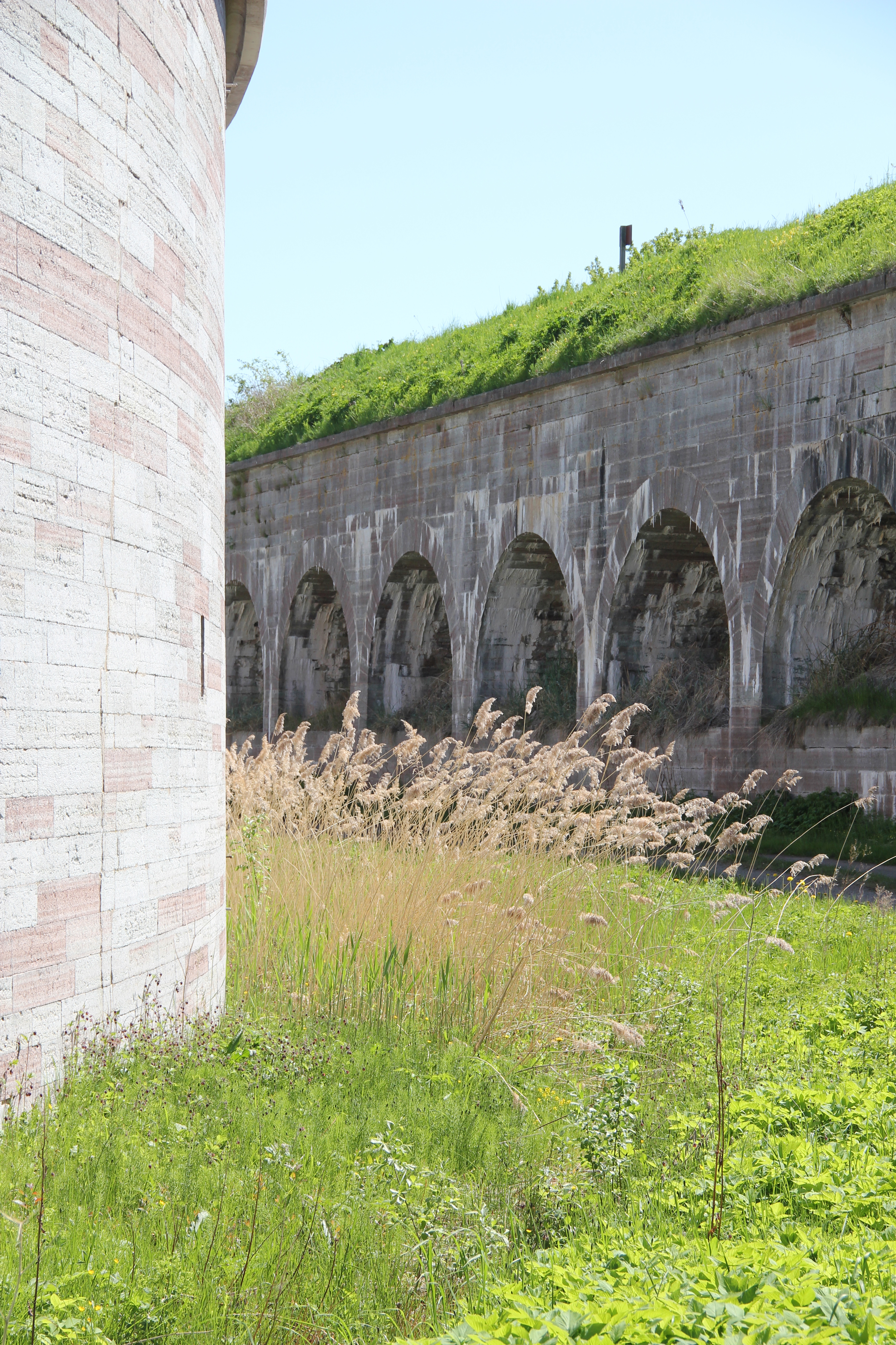 Vallgraven i Karlsborgs fästning. Marken i graven och på den omgivande vallen är täckt av gräs och andra växter. Sommar.
